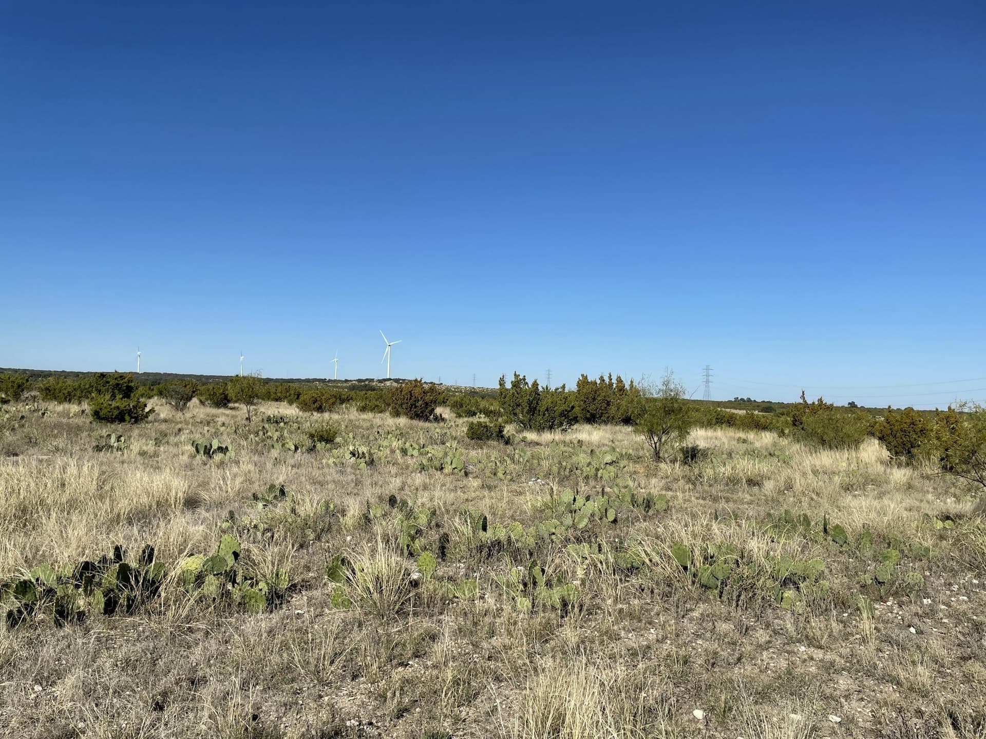 2,117.94 acres in Tom Green County - photo 6