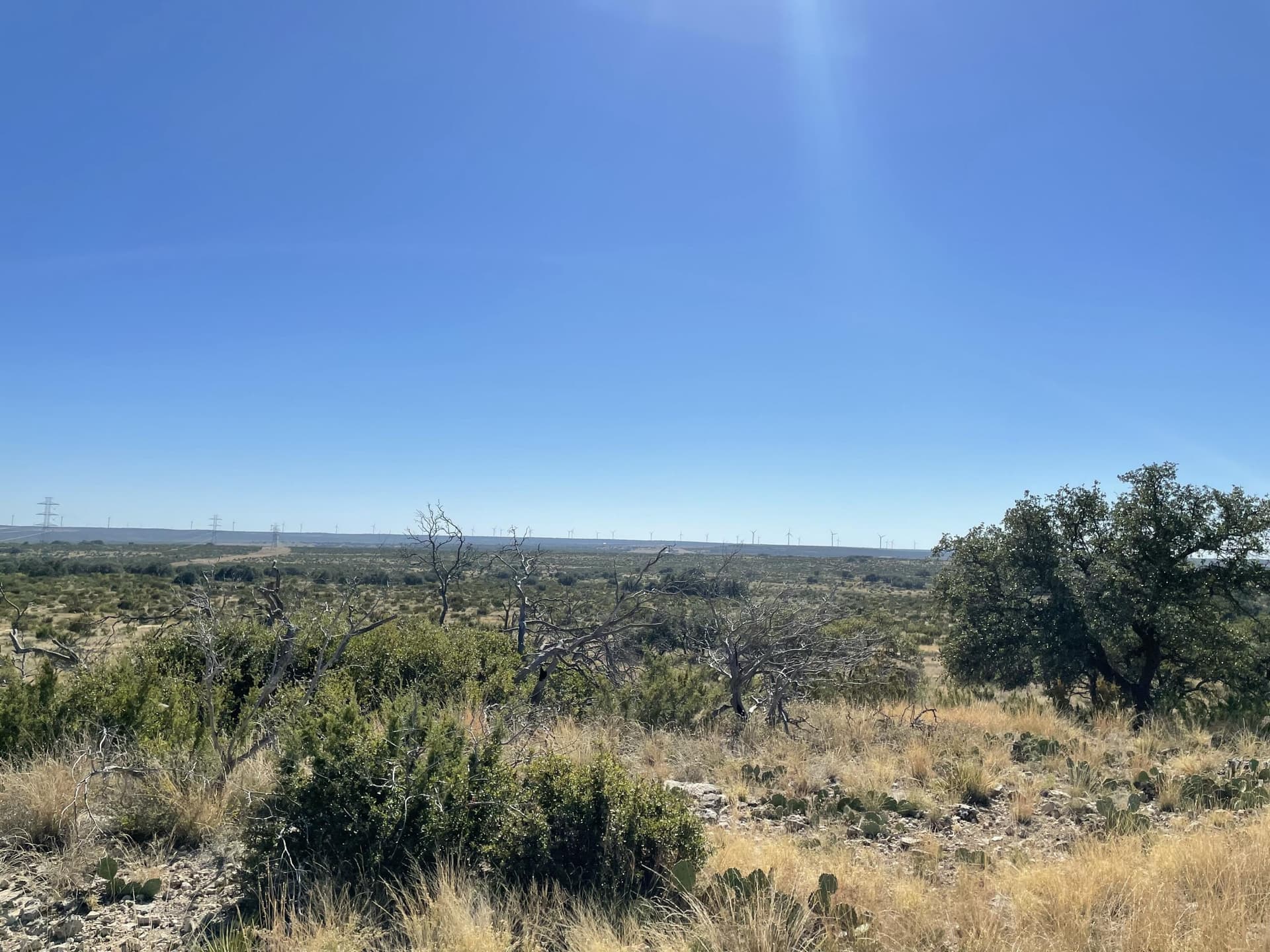 2,117.94 acres in Tom Green County - photo 11