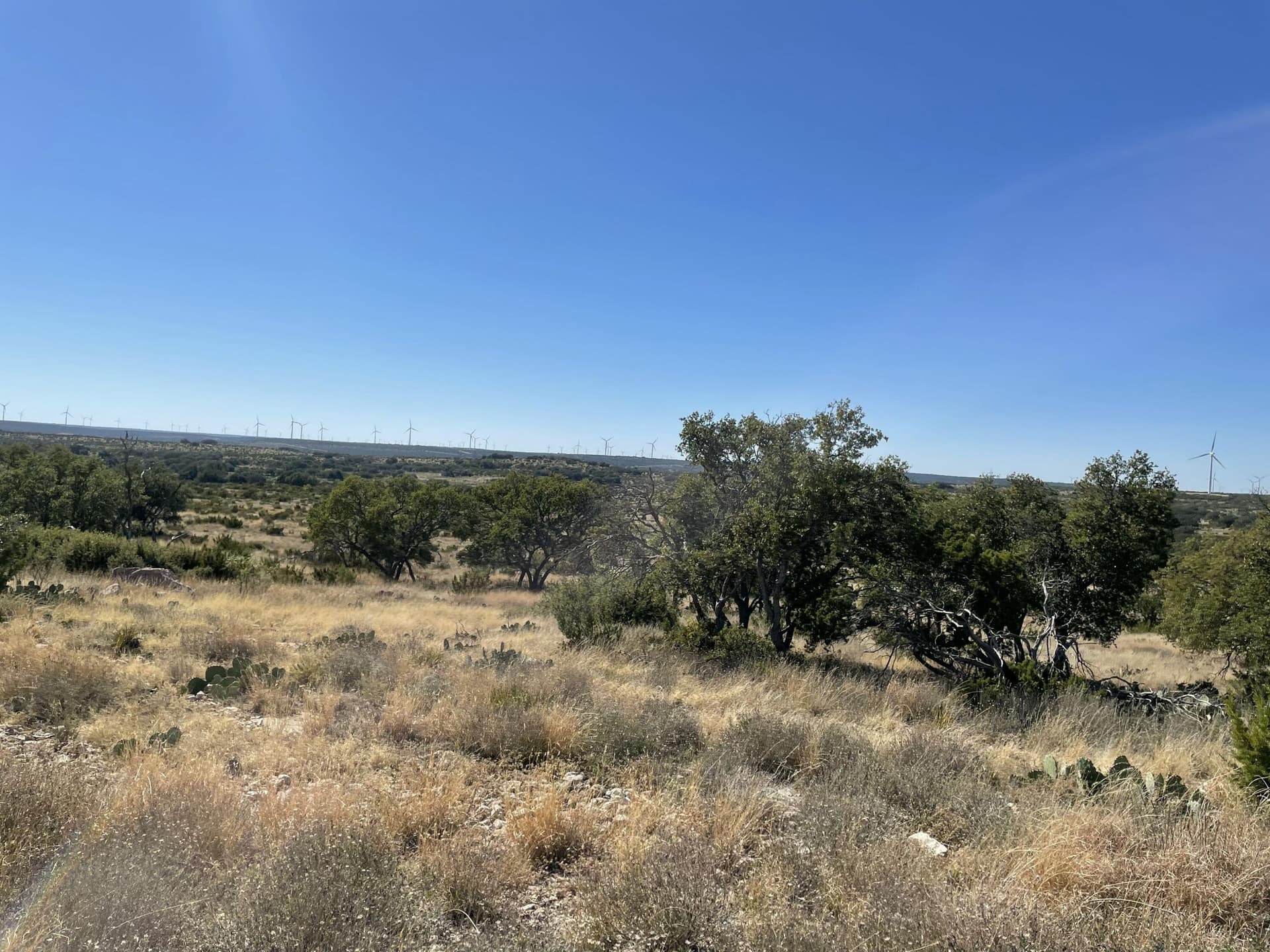 2,117.94 acres in Tom Green County - photo 15