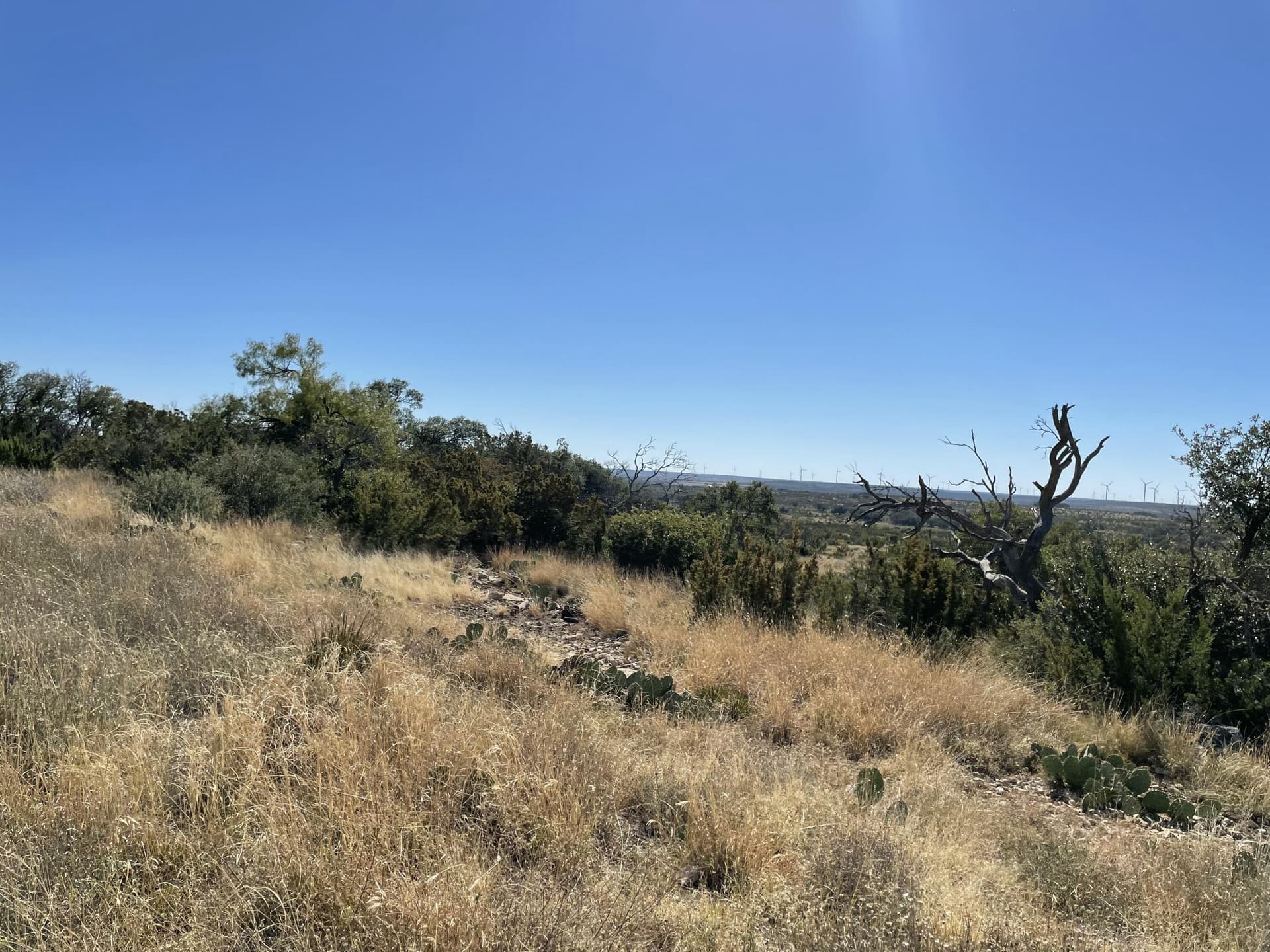2,117.94 acres in Tom Green County - photo 14
