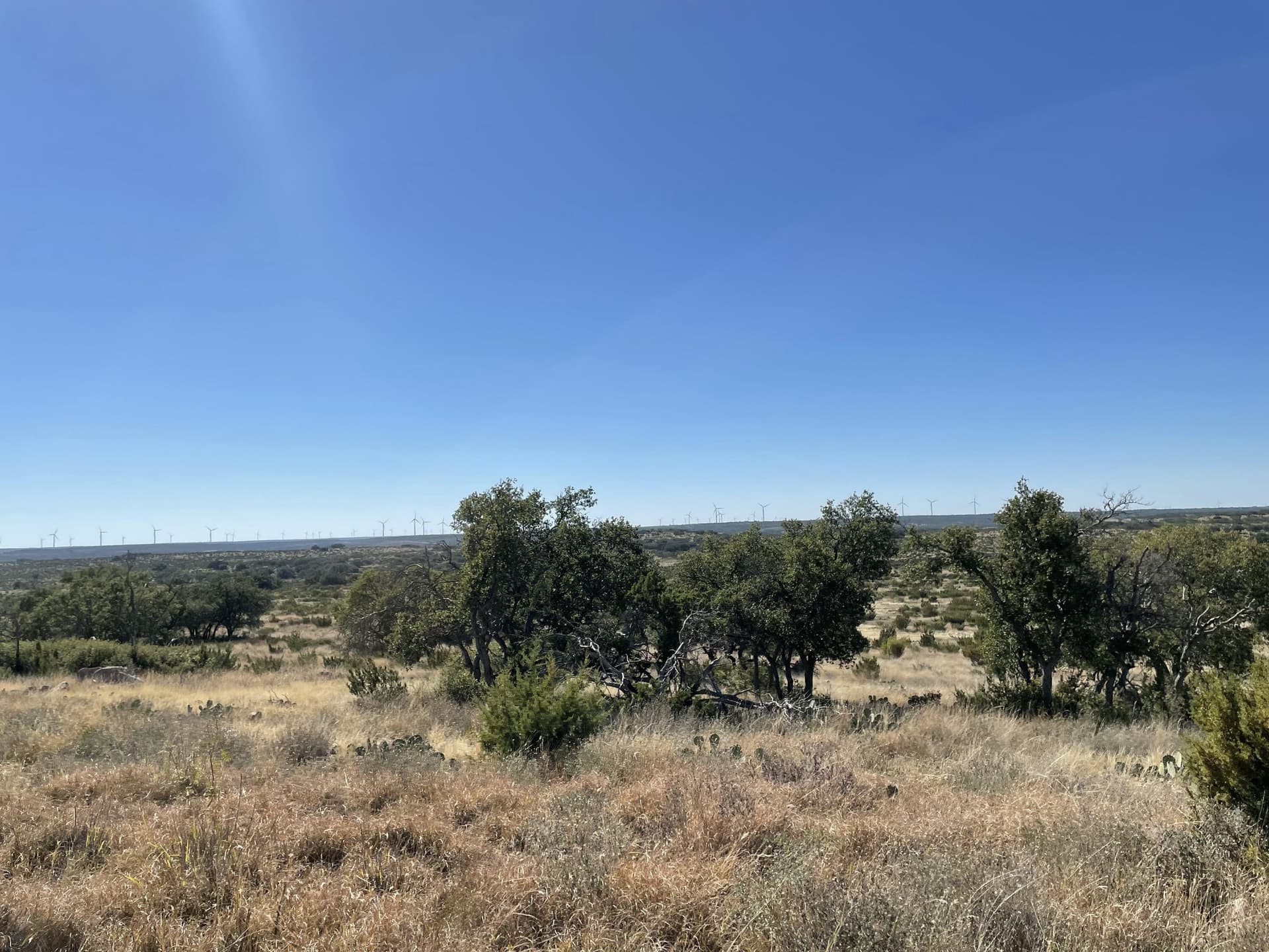2,117.94 acres in Tom Green County - photo 16