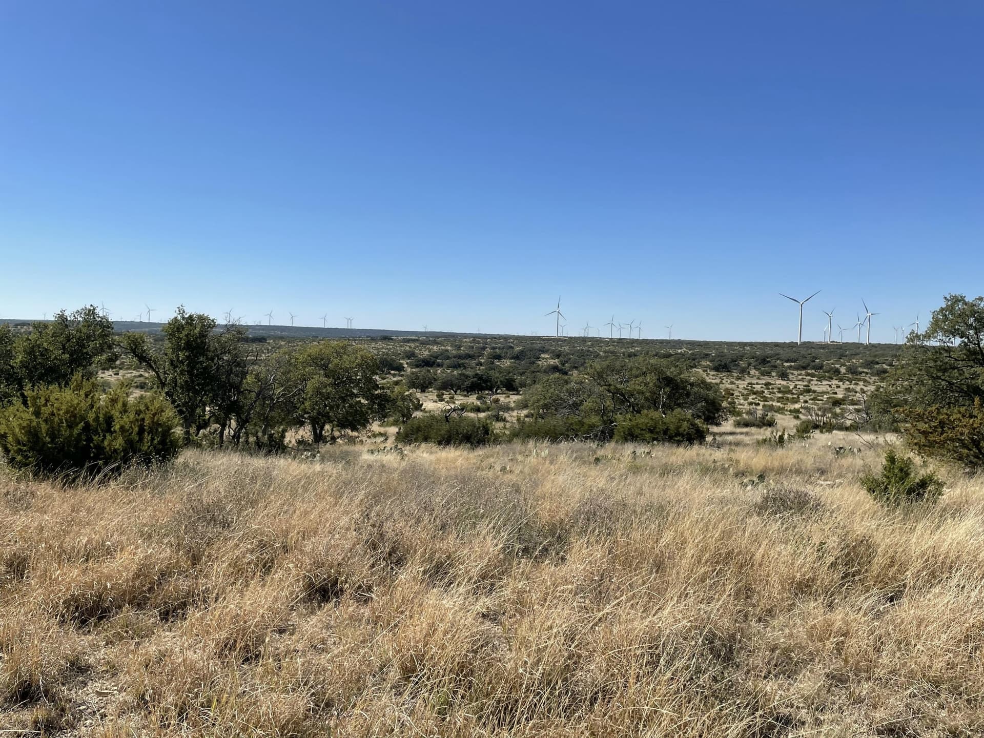 2,117.94 acres in Tom Green County - photo 17