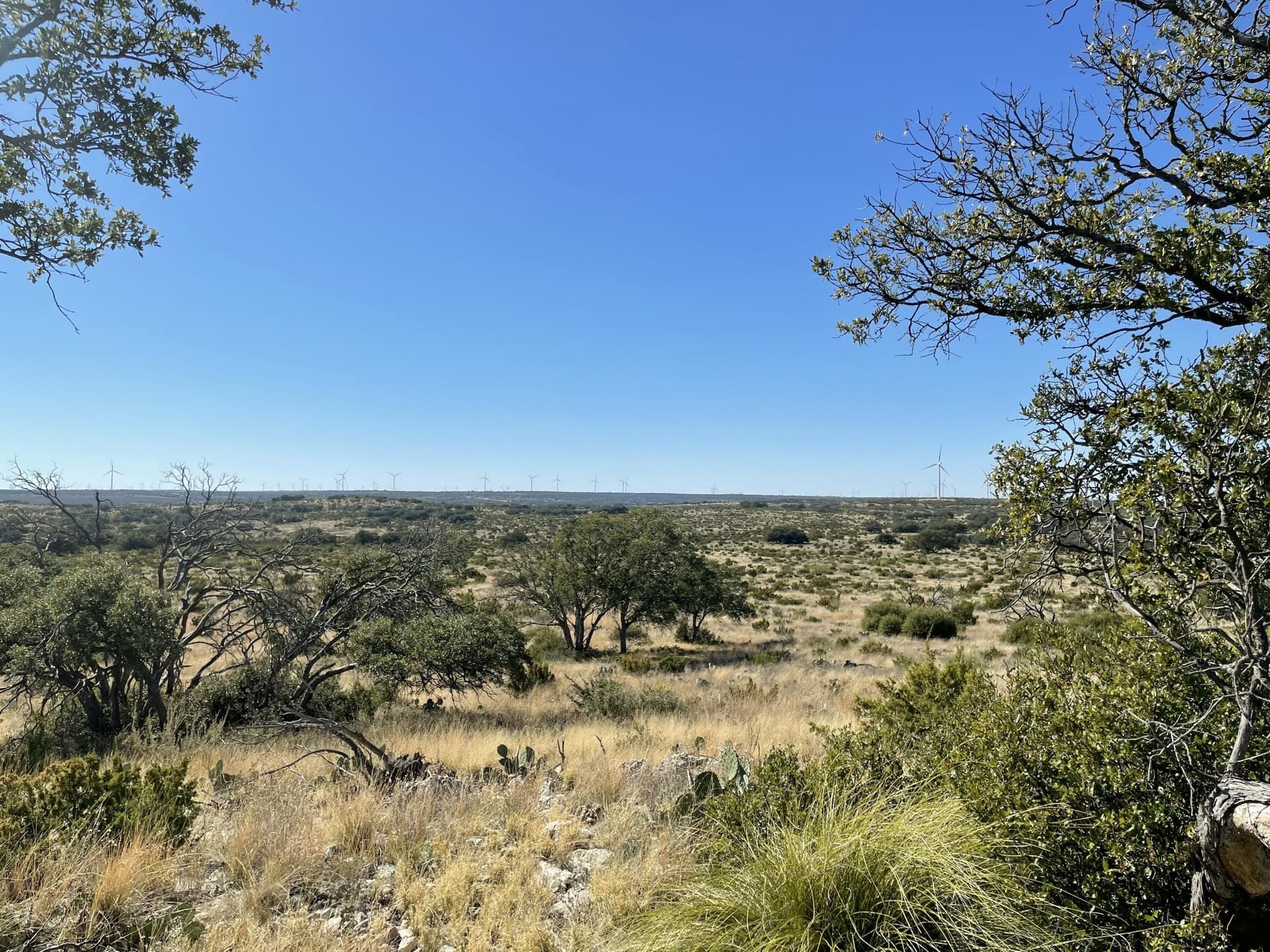 2,117.94 acres in Tom Green County - photo 10