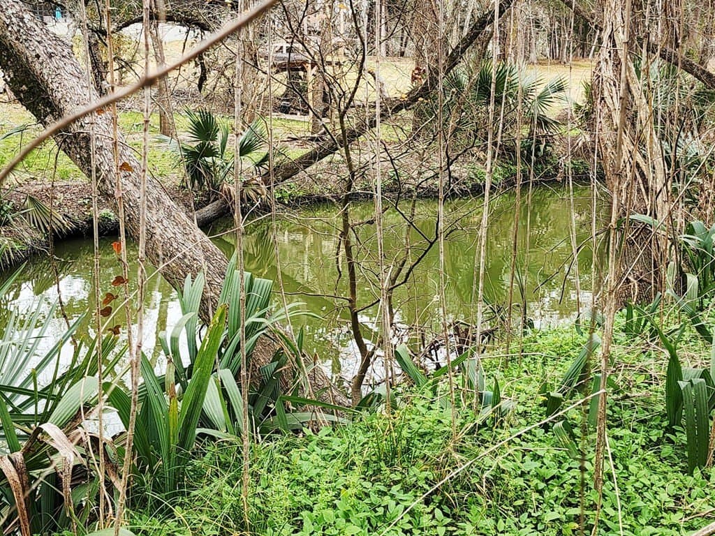 13.66 acres in Texas County gallery image 3