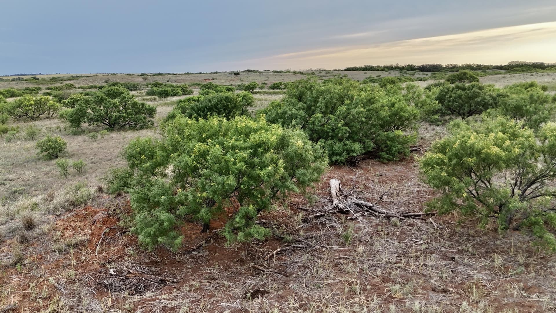 166 acres in Cottle County - photo 14