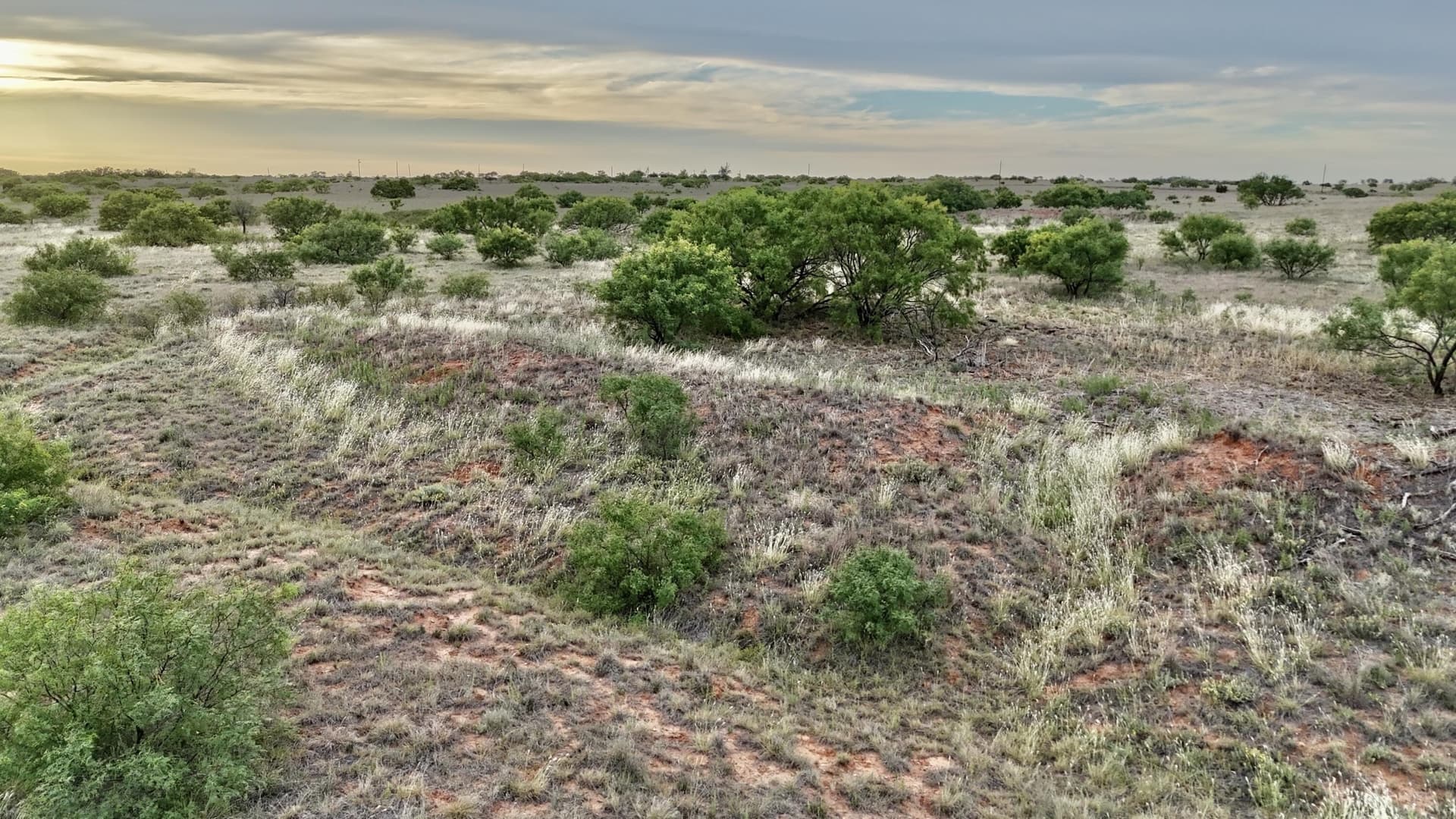 166 acres in Cottle County - photo 12
