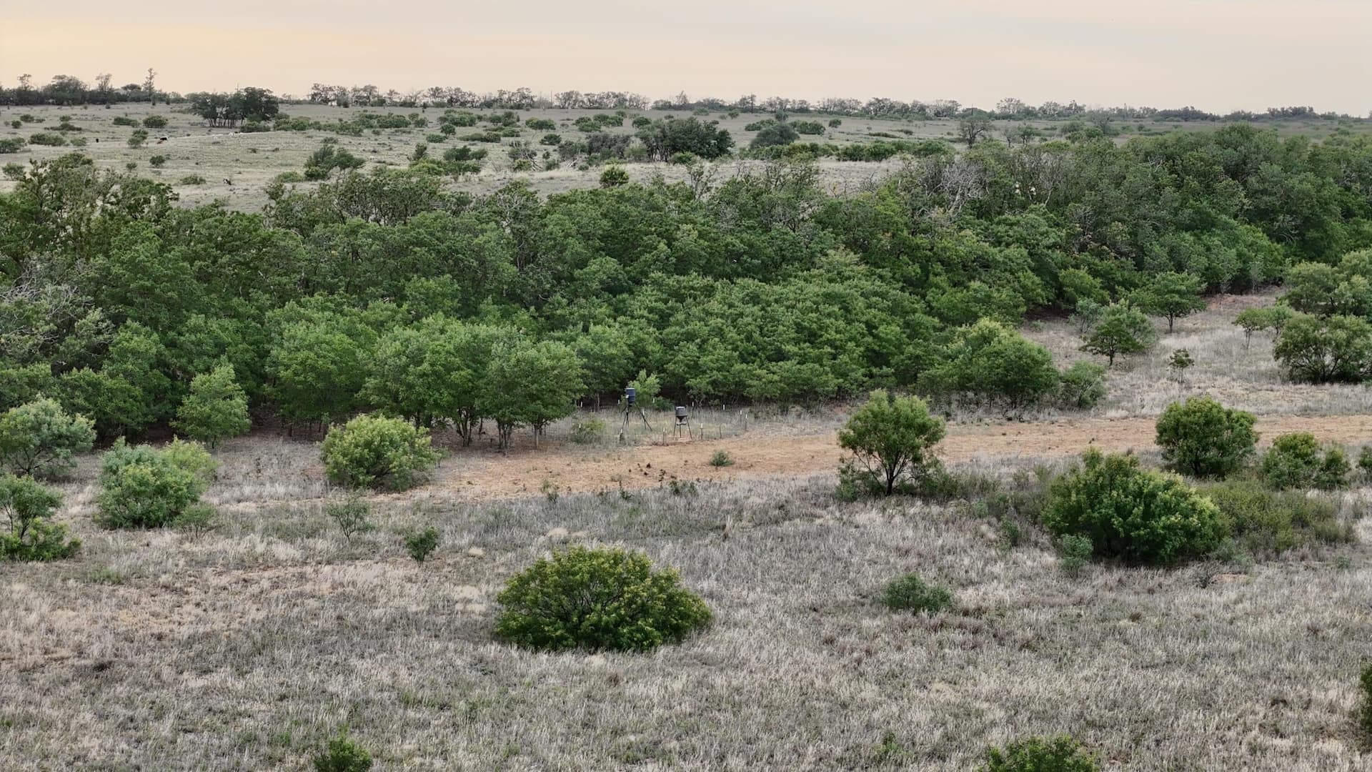 226.34 acres in Cottle County gallery image 3