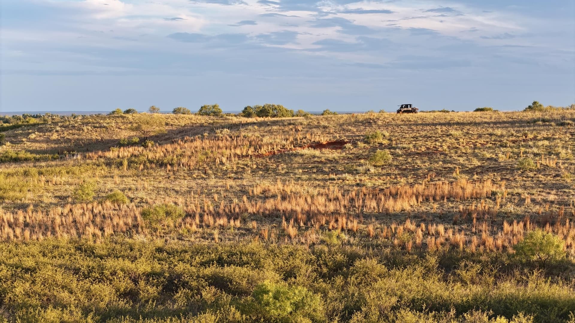 166 acres in Cottle County - photo 22