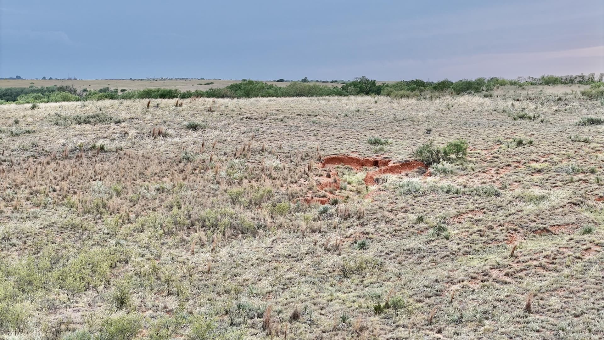 166 acres in Cottle County - photo 10