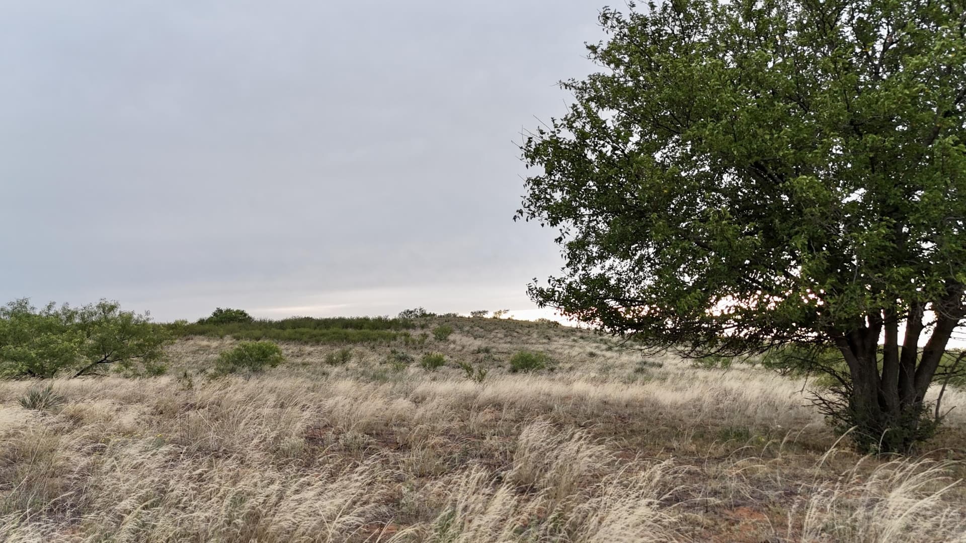 166 acres in Cottle County - photo 11