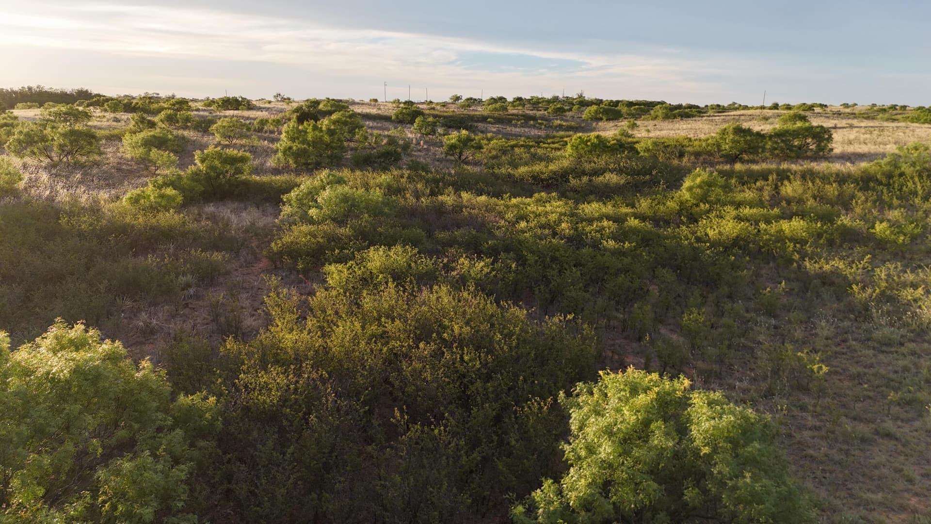 166 acres in Cottle County - photo 21