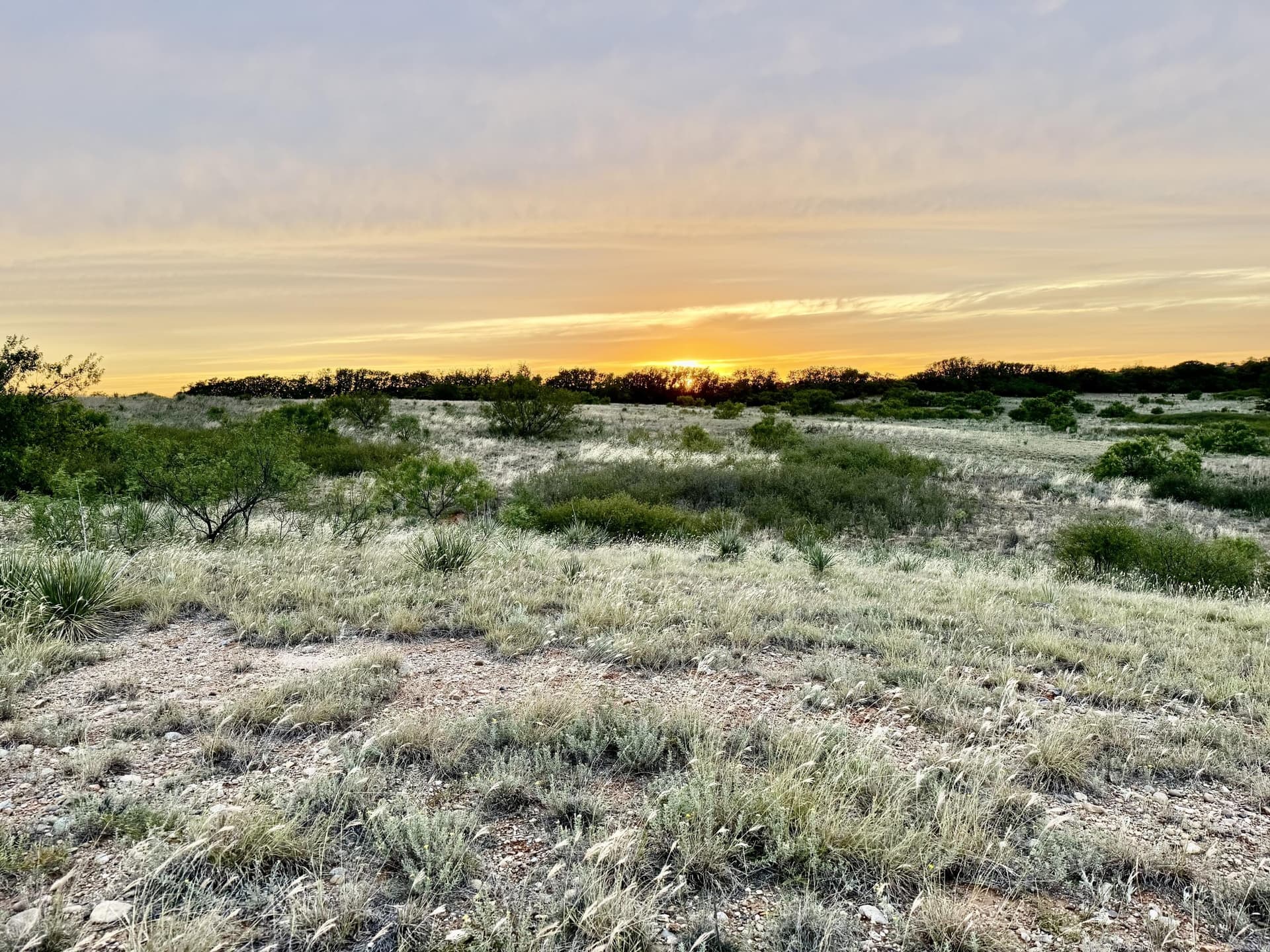 166 acres in Cottle County - photo 24