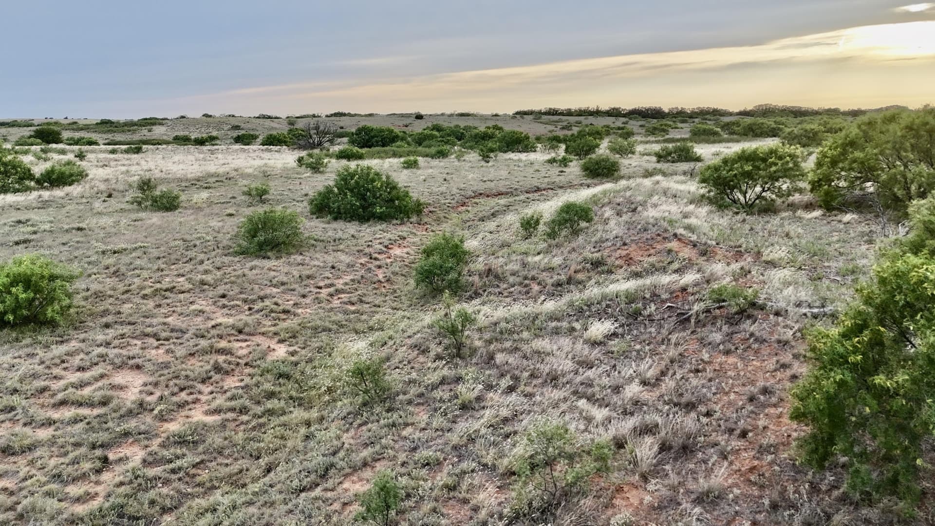 166 acres in Cottle County - photo 13