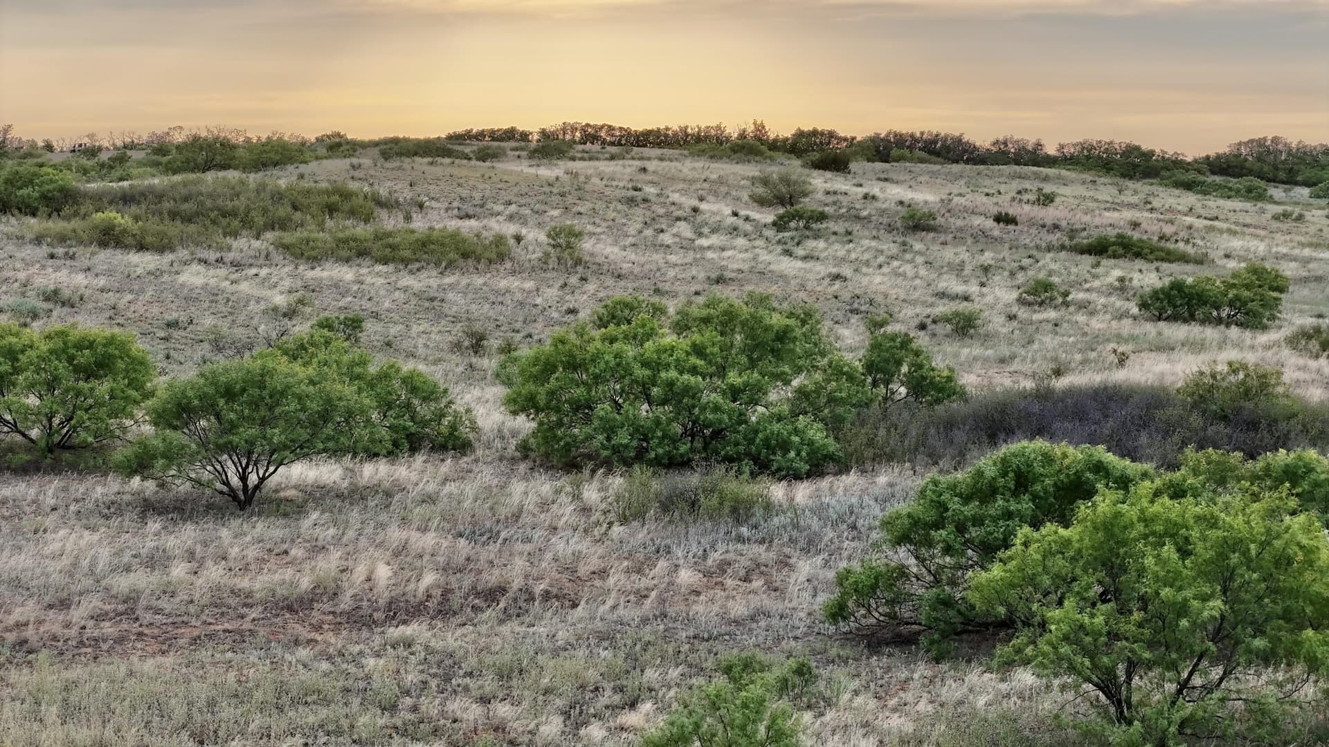 166 acres in Cottle County - photo 8