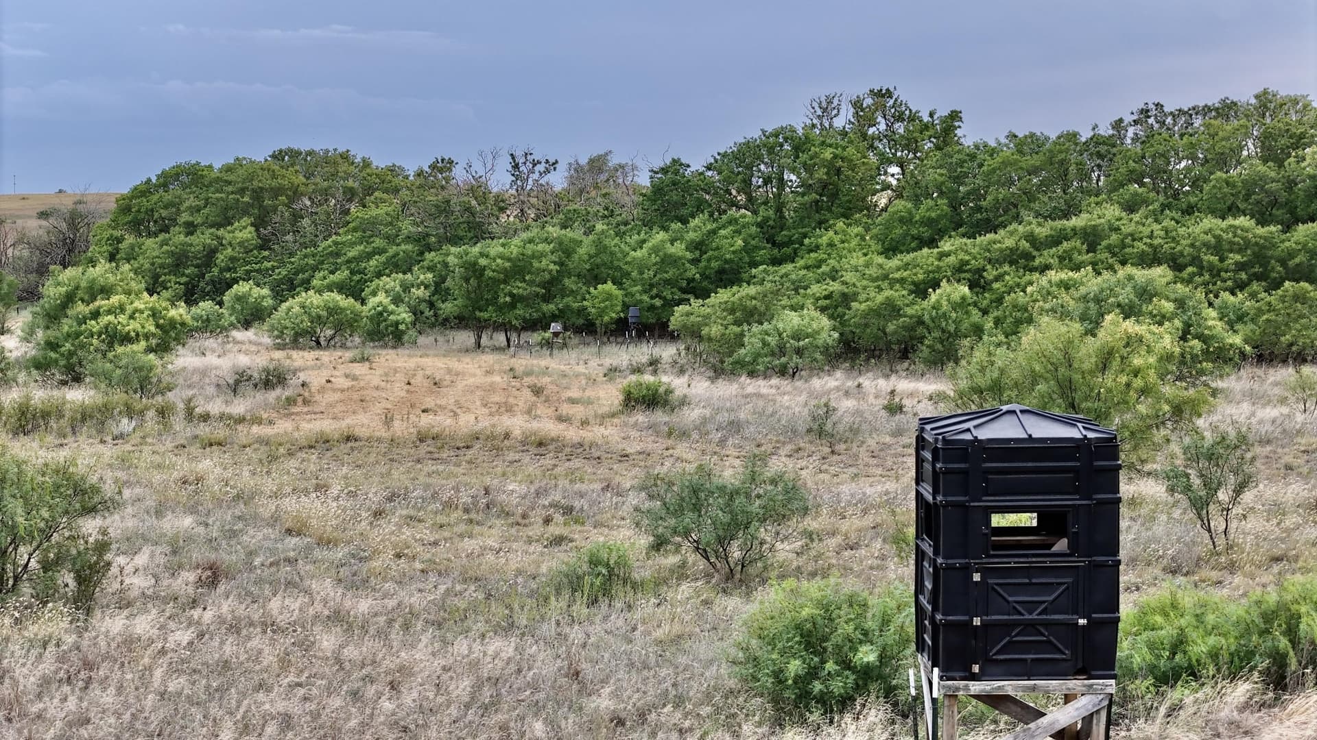 166 acres in Cottle County - photo 17