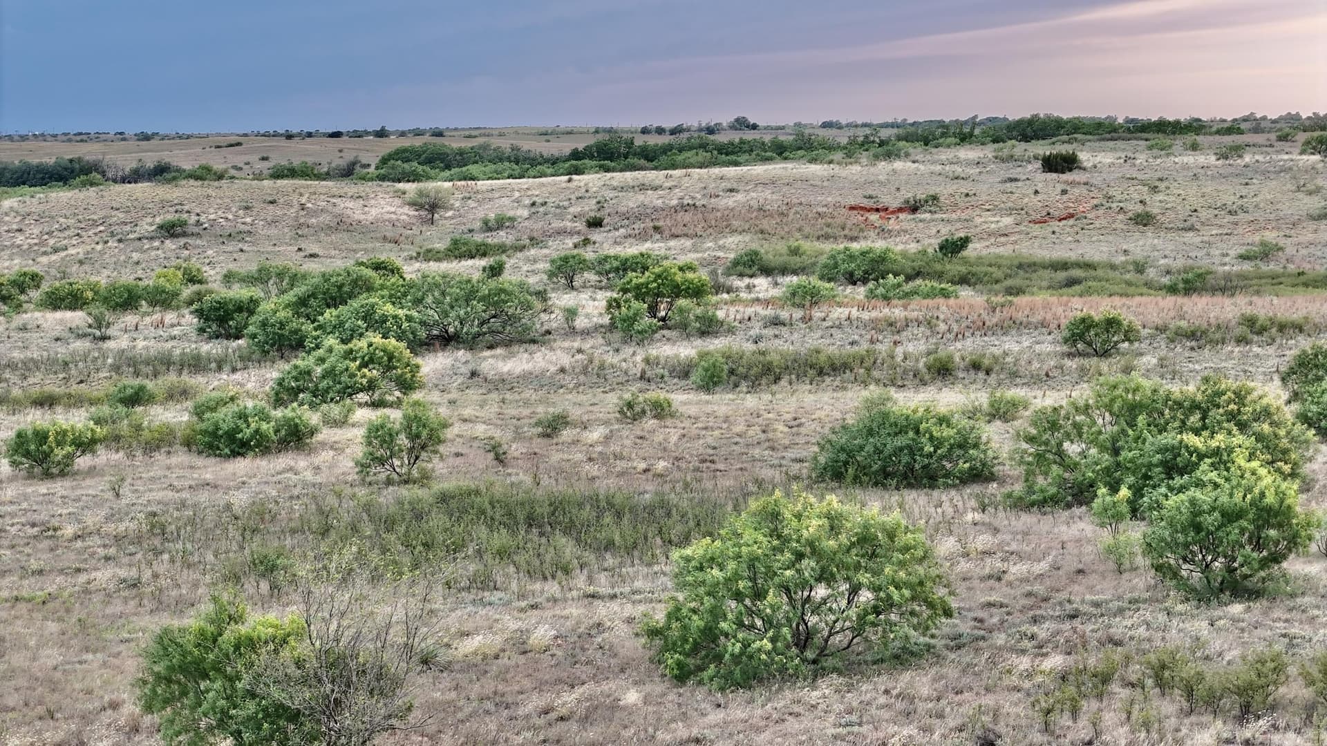 166 acres in Cottle County - photo 15