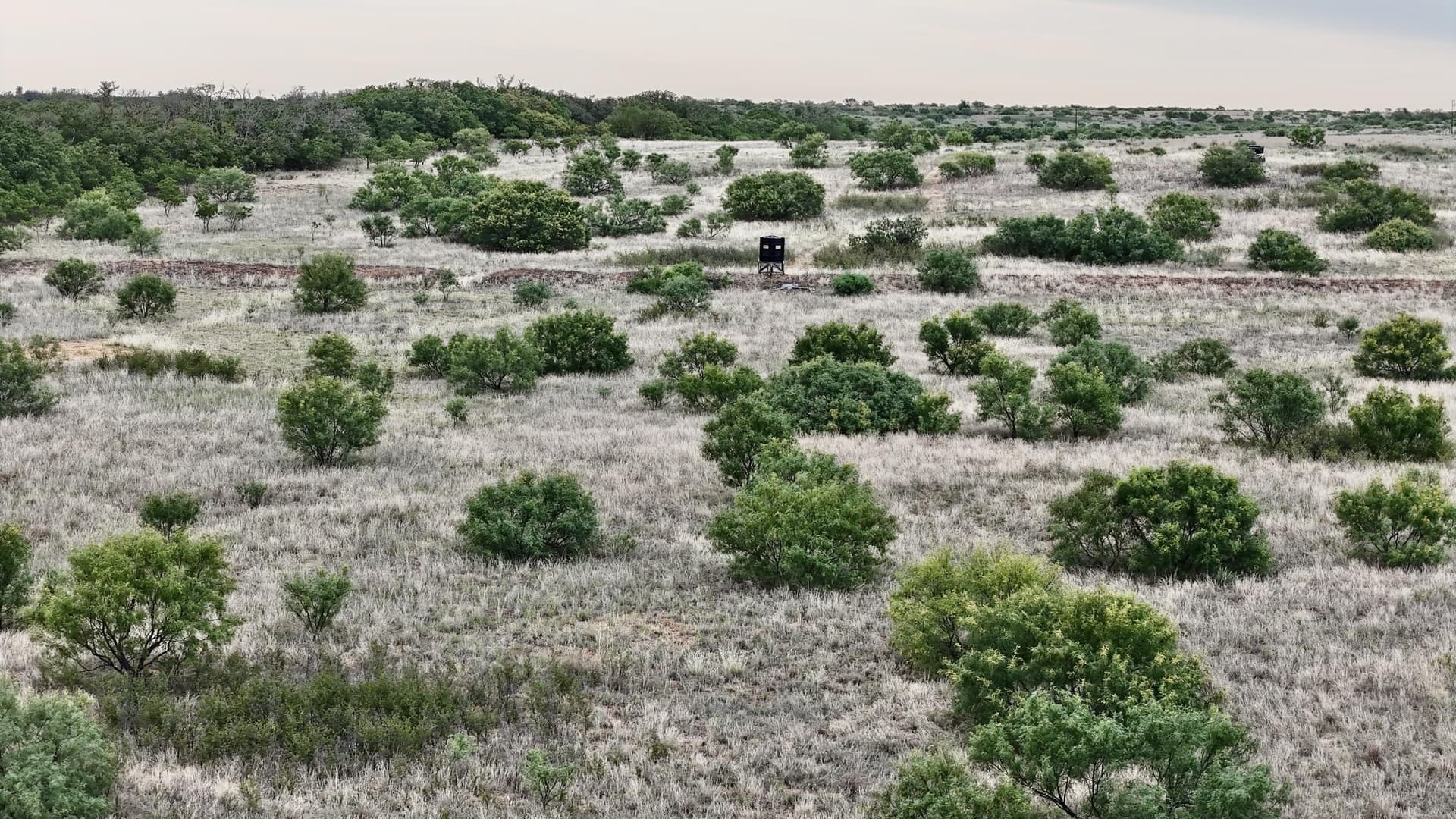 226.34 acres in Cottle County gallery image 4