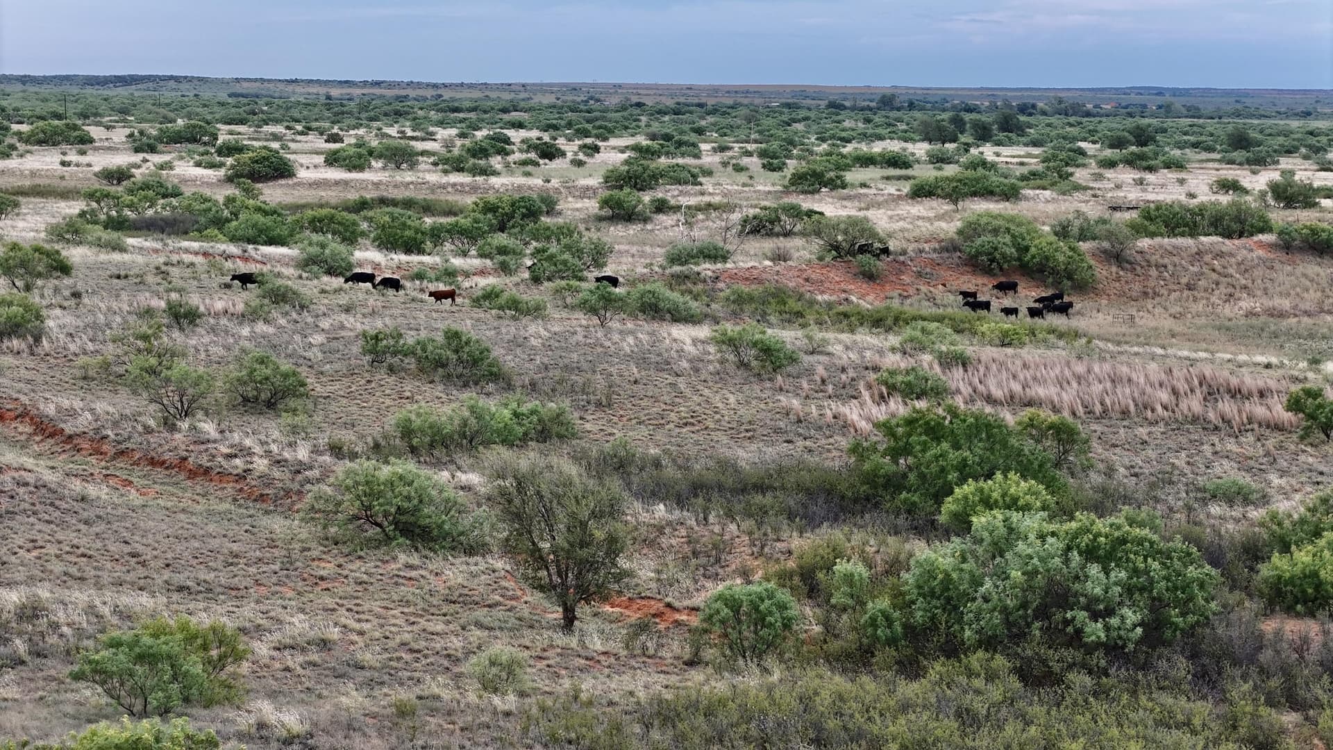 226.34 acres in Cottle County featured view