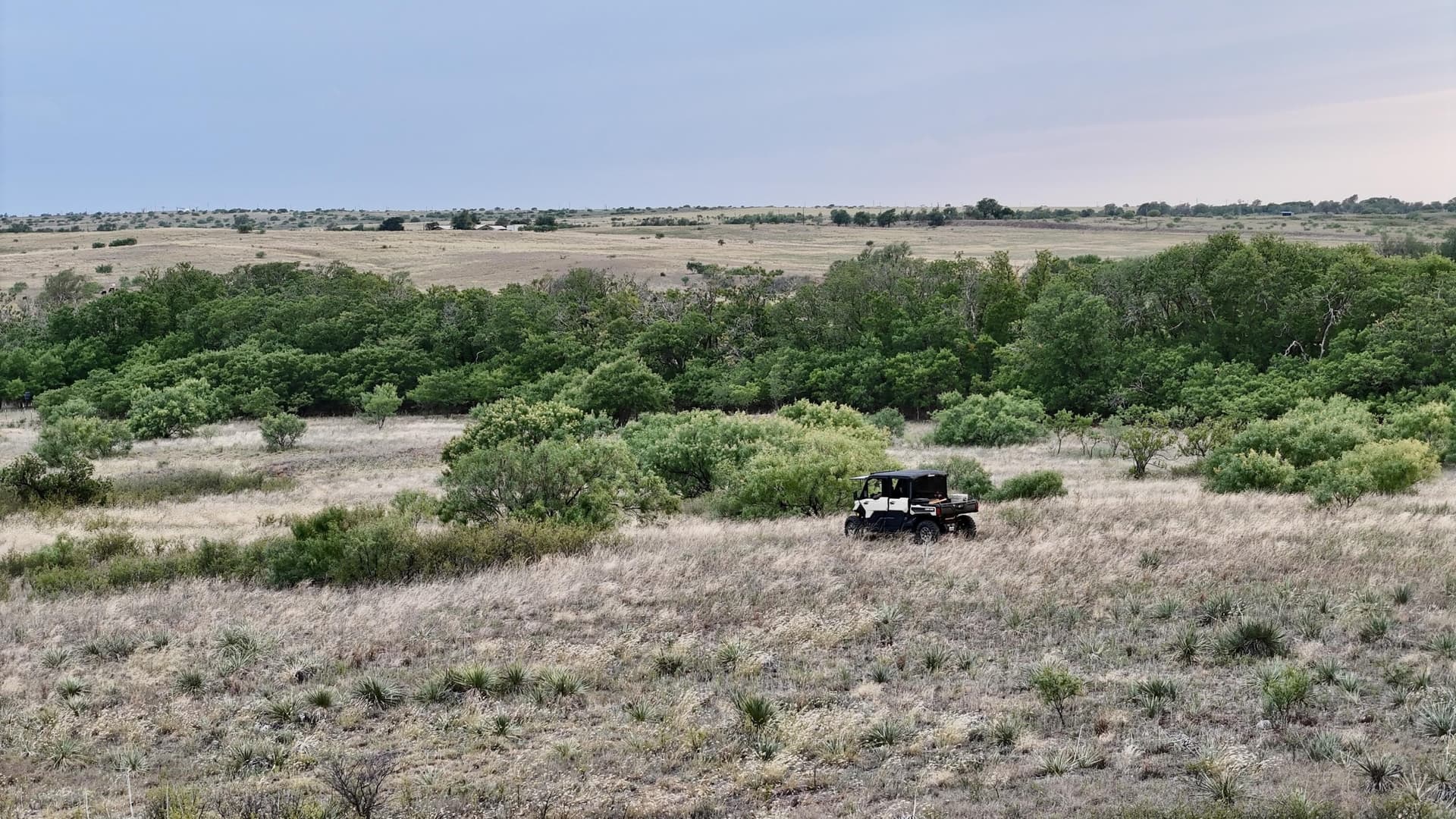 166 acres in Cottle County - photo 16