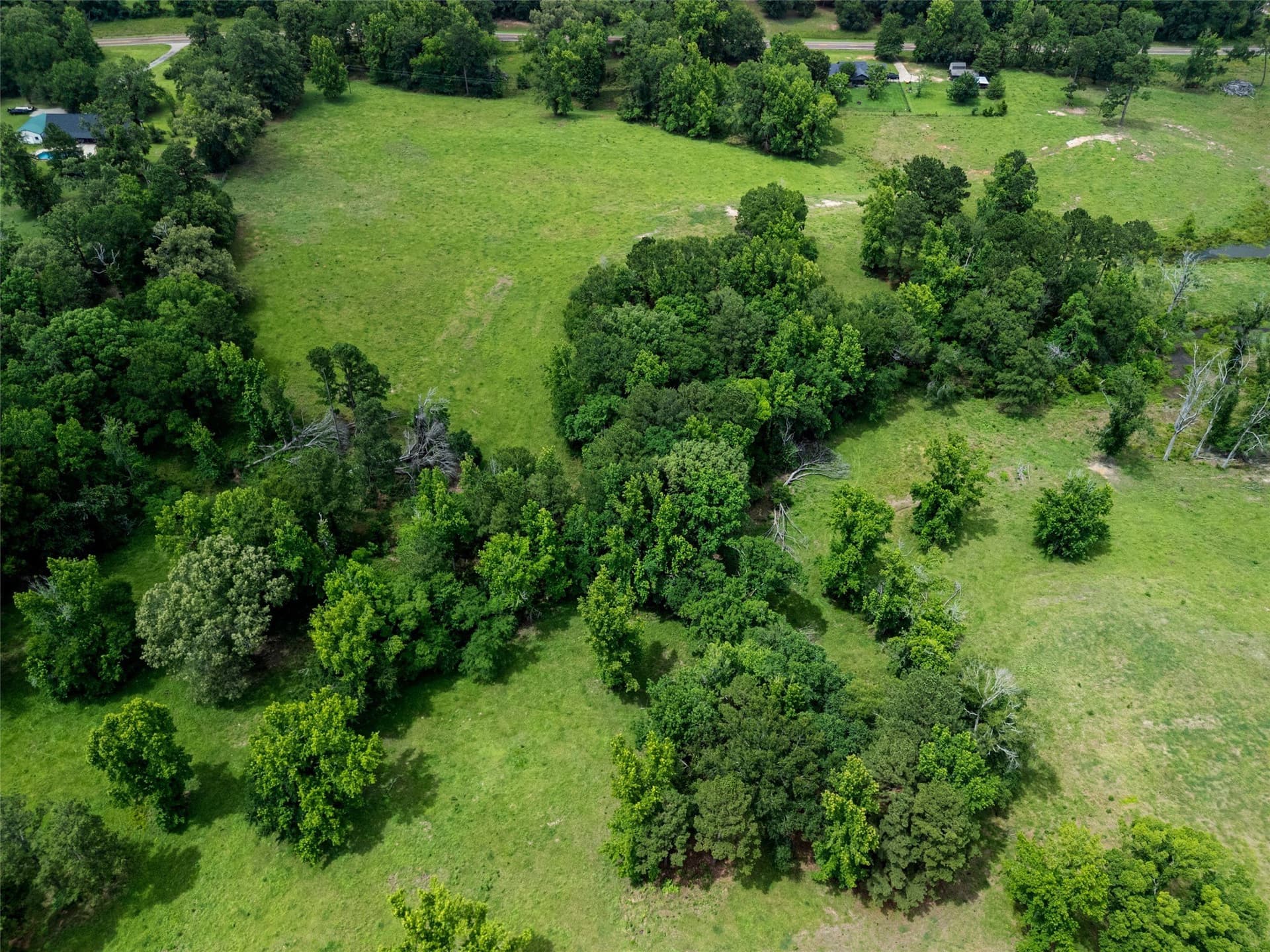 51.16 acres in Upshur County - photo 35