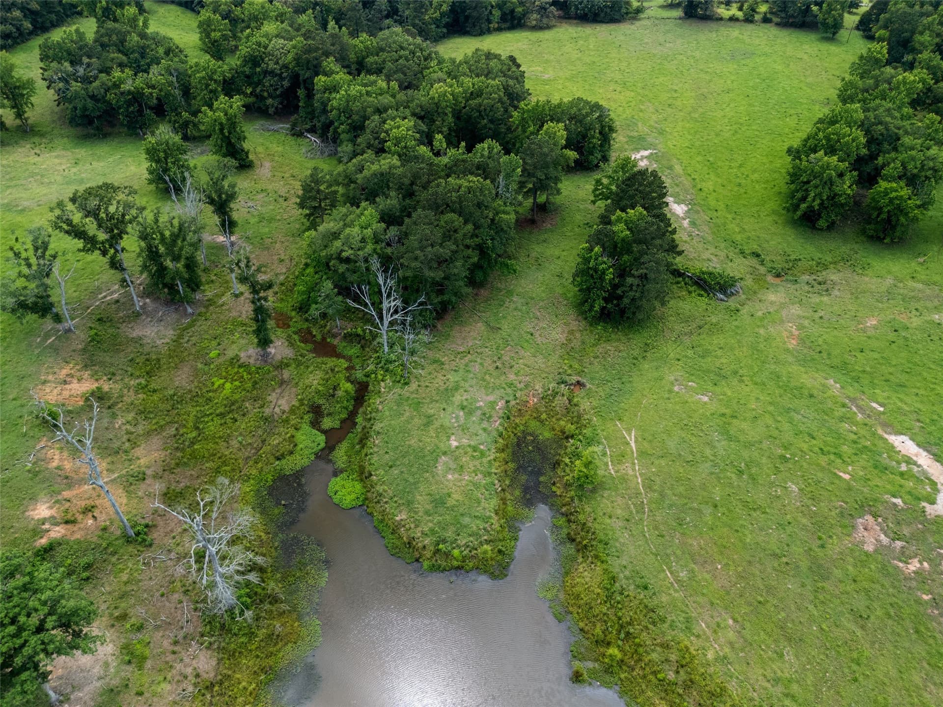 51.16 acres in Upshur County - photo 36