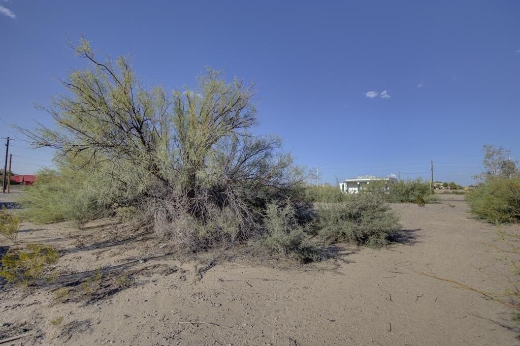 0.29 acres in Presidio County - photo 5