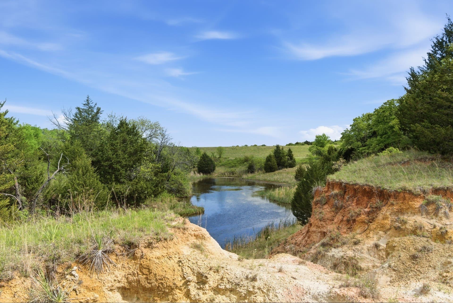 377.82 acres in Montague County - photo 36