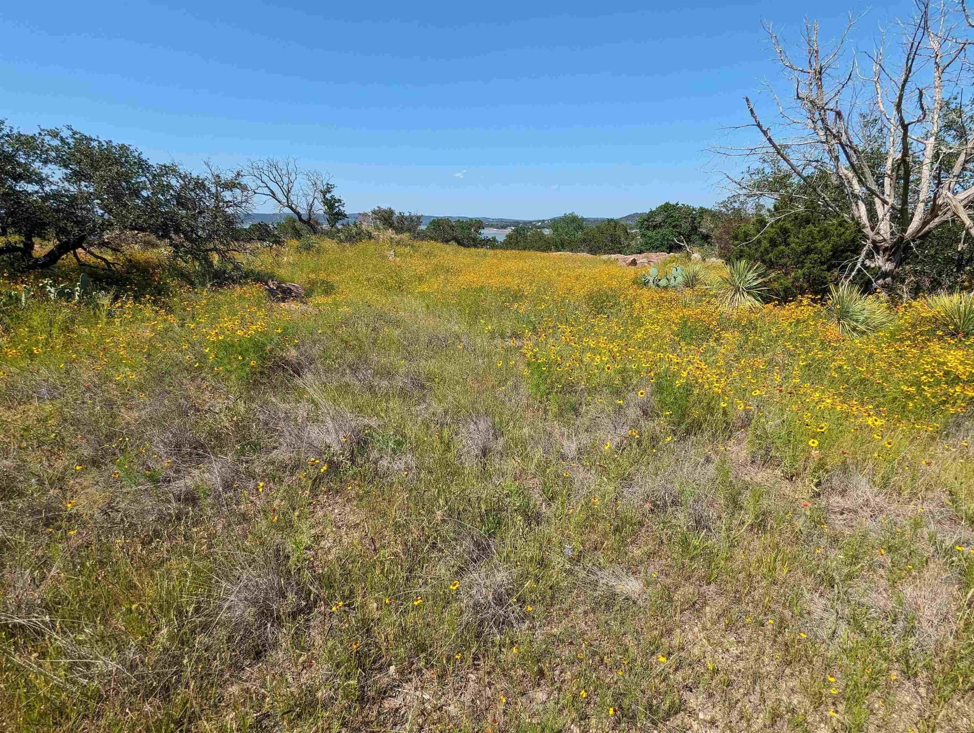 1.22 acres in Burnet County - photo 14