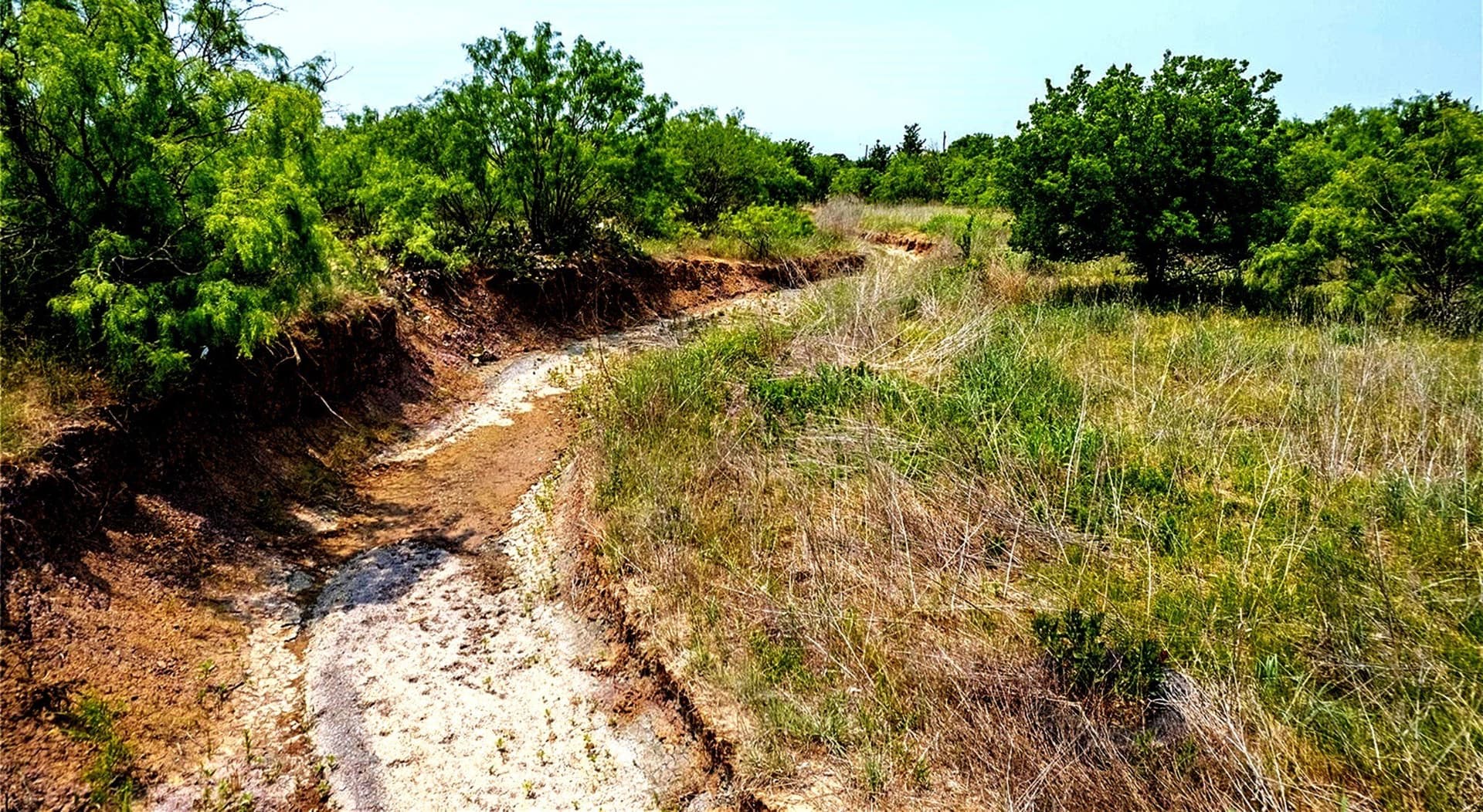 11.54 acres in Parker County - photo 4