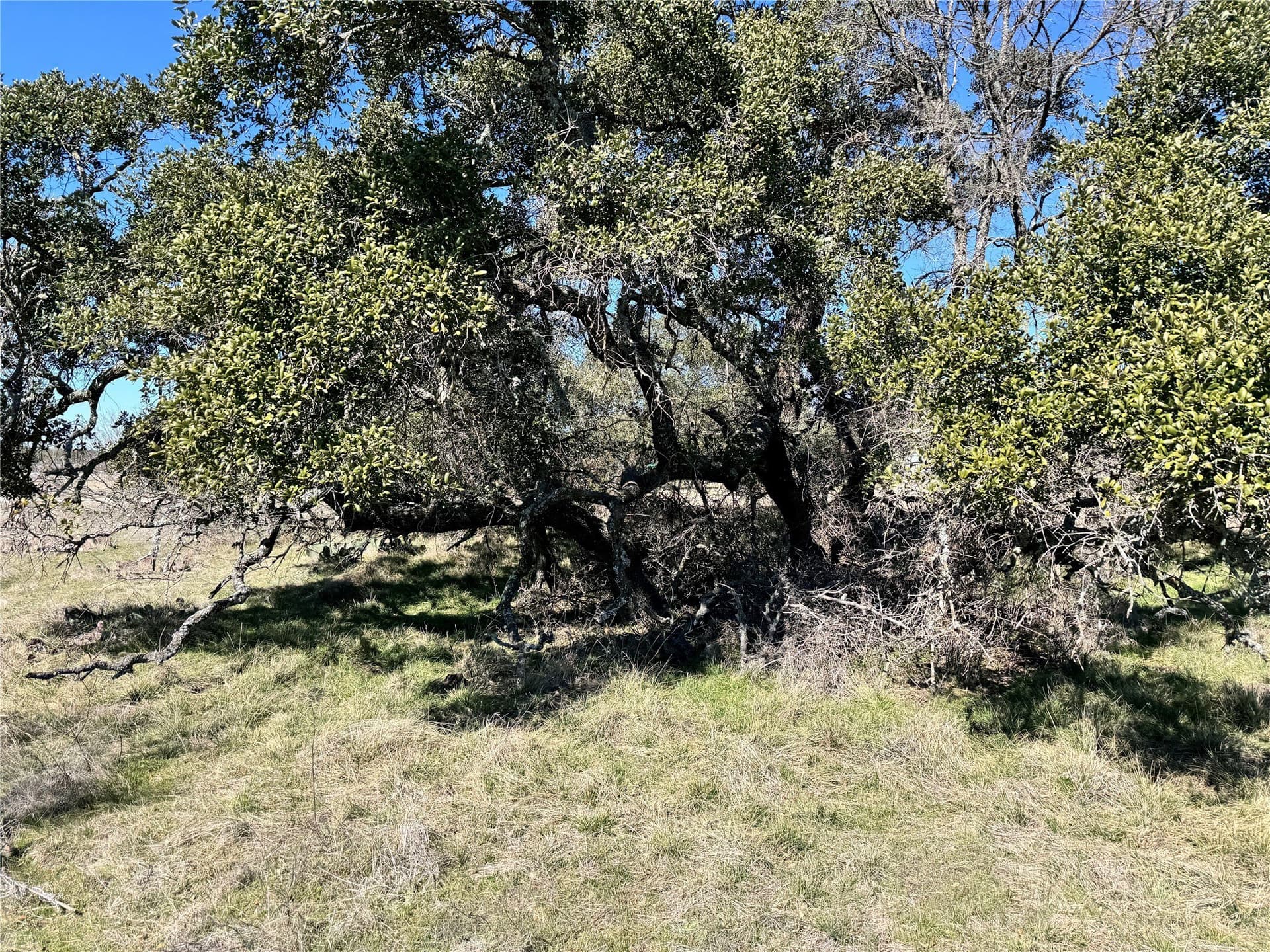 0.51 acres in Brown County - photo 12