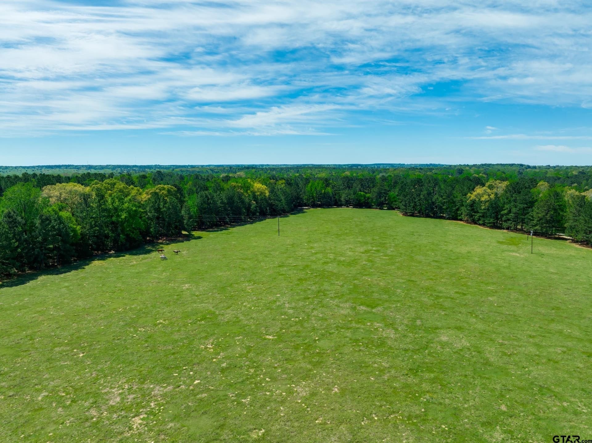 29.91 acres in Anderson County - photo 33
