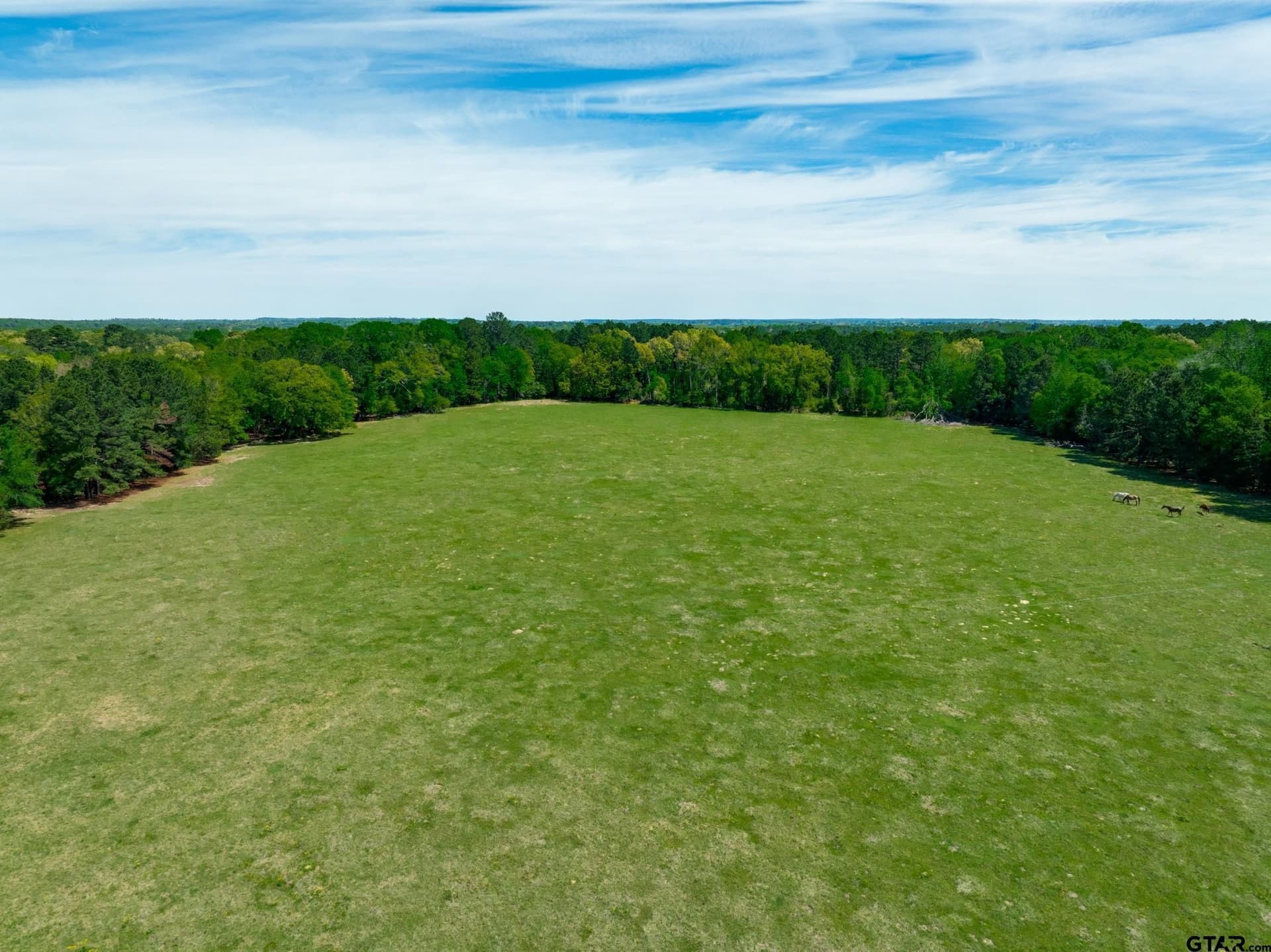 29.91 acres in Anderson County - photo 32