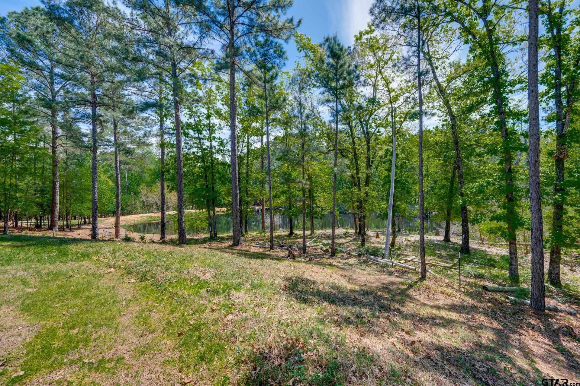 29.91 acres in Anderson County - photo 21