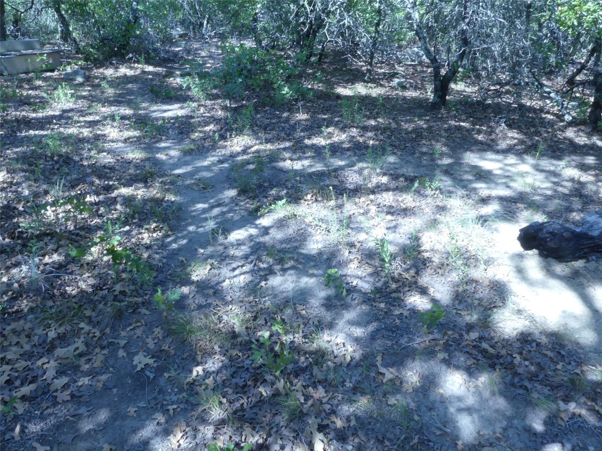 11.85 acres in Montague County - photo 32