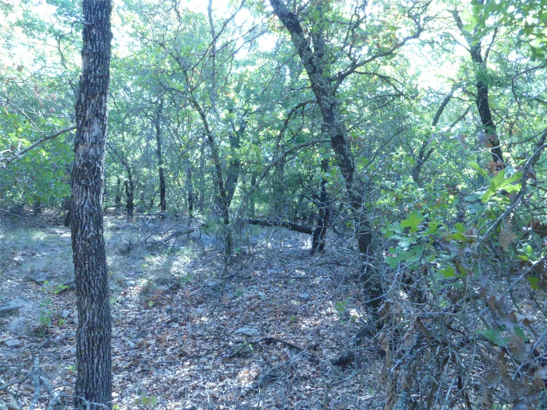 11.85 acres in Montague County - photo 26