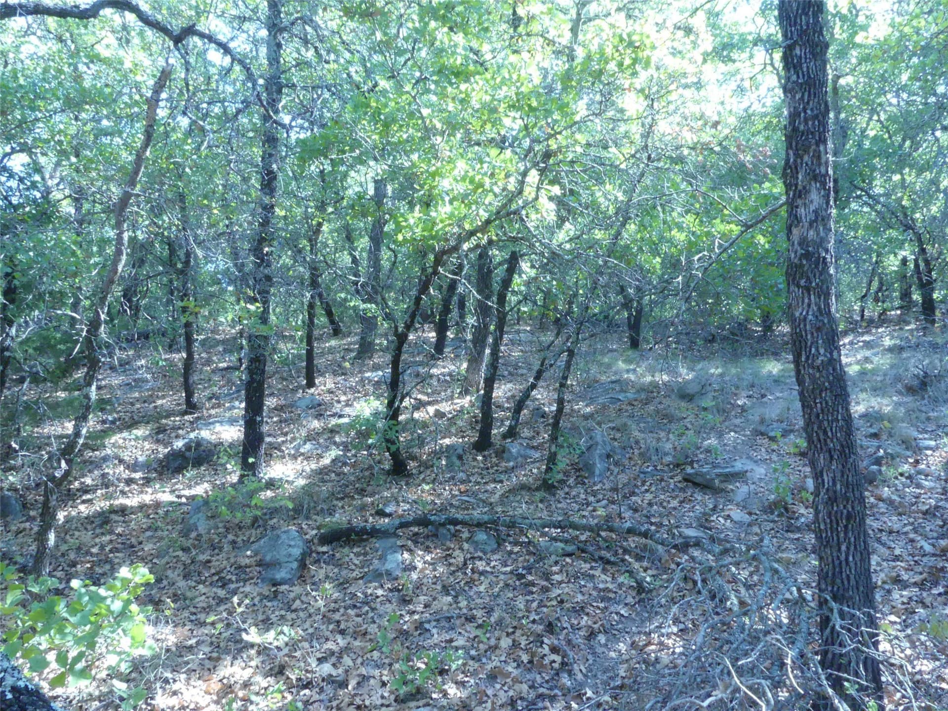 11.85 acres in Montague County - photo 25