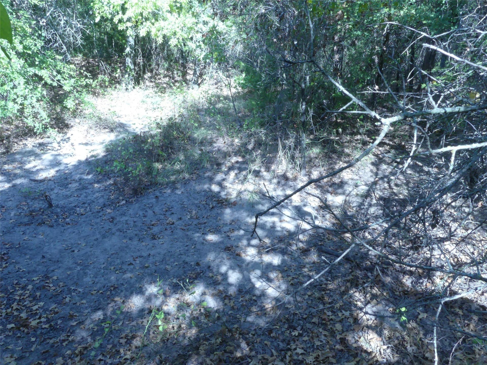 11.85 acres in Montague County - photo 22