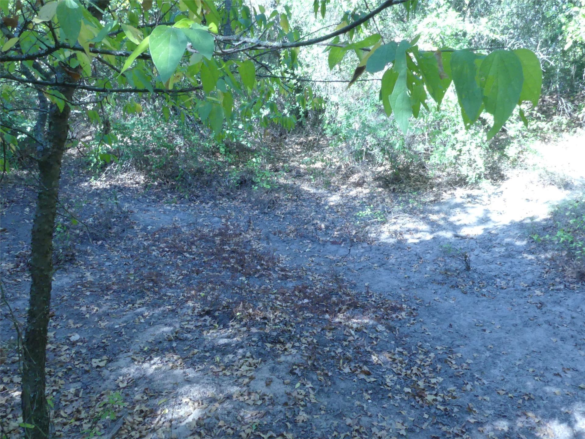 11.85 acres in Montague County - photo 23