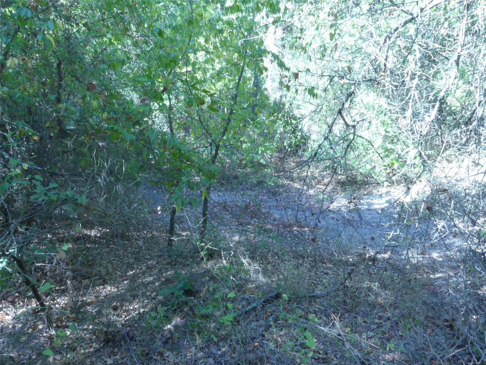 11.85 acres in Montague County - photo 19