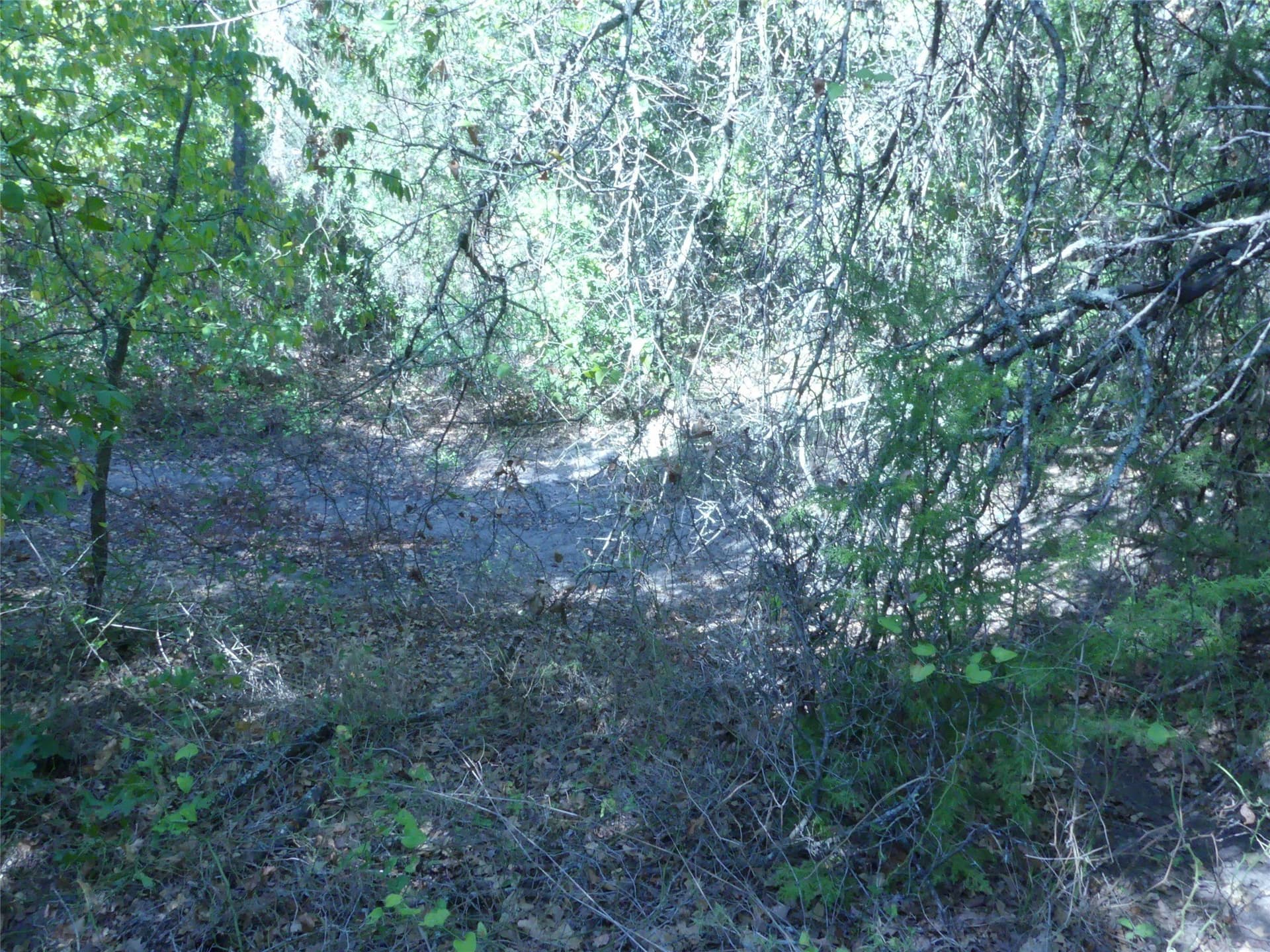 11.85 acres in Montague County - photo 18