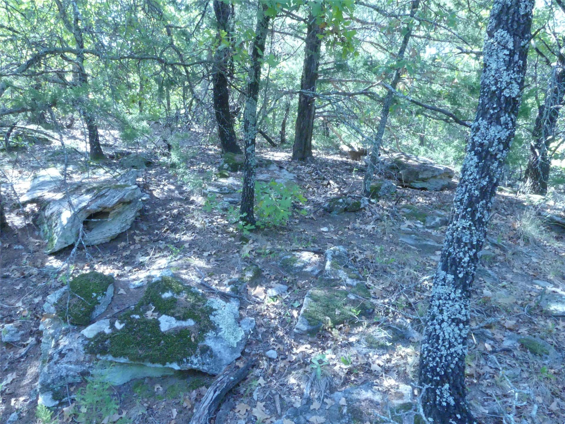 11.85 acres in Montague County - photo 27