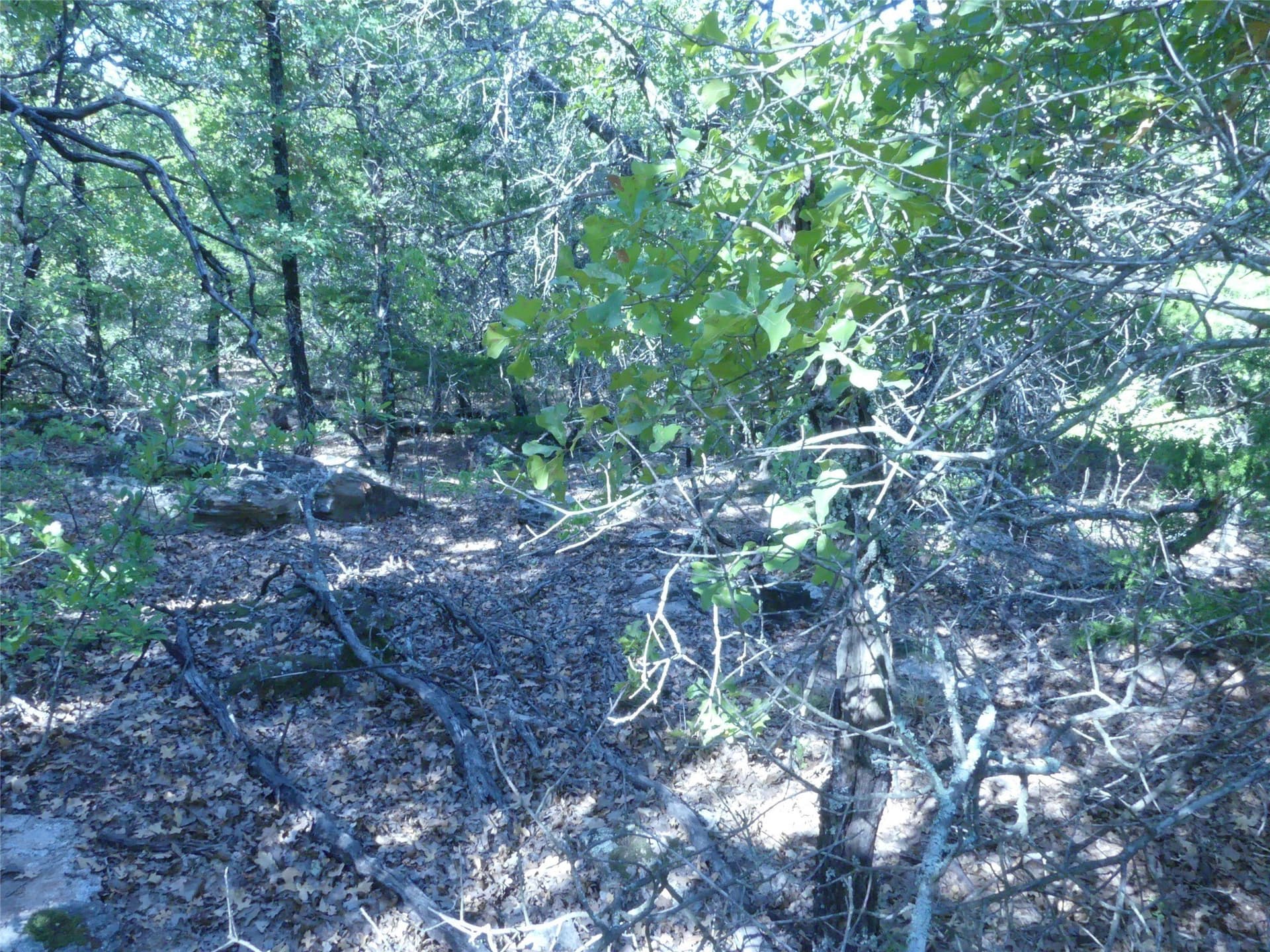 11.85 acres in Montague County - photo 28