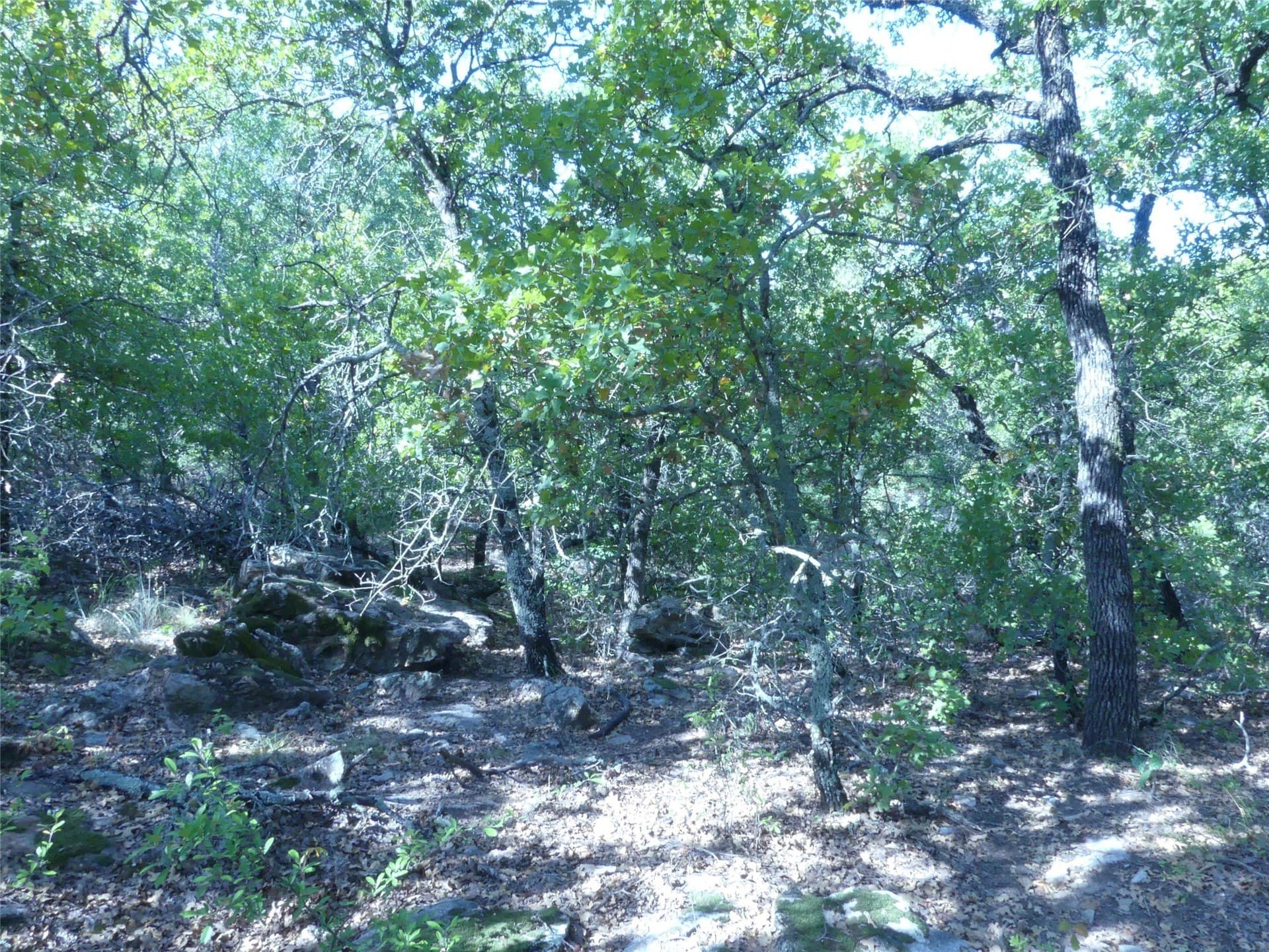 11.85 acres in Montague County - photo 29