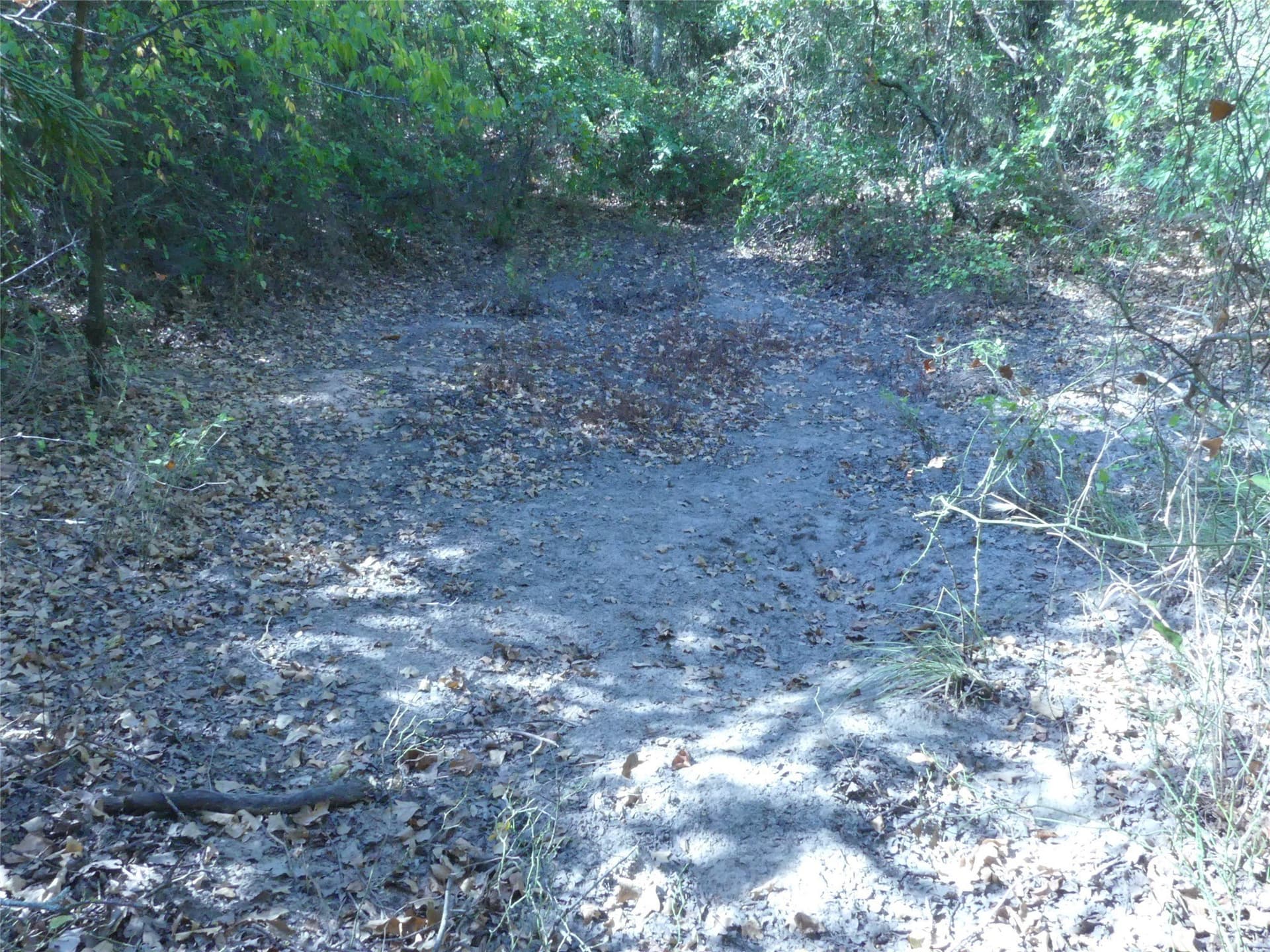 11.85 acres in Montague County - photo 21