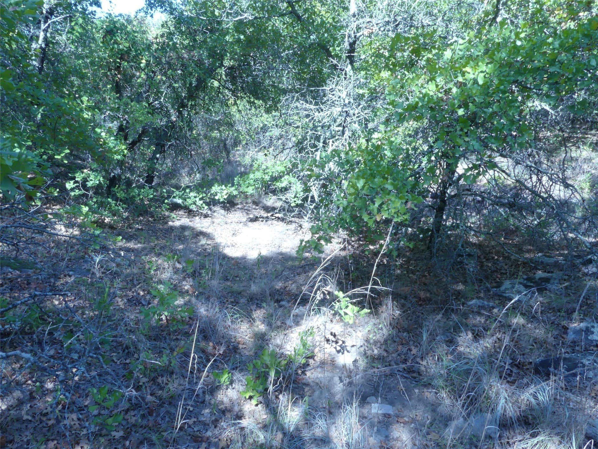 11.85 acres in Montague County - photo 33