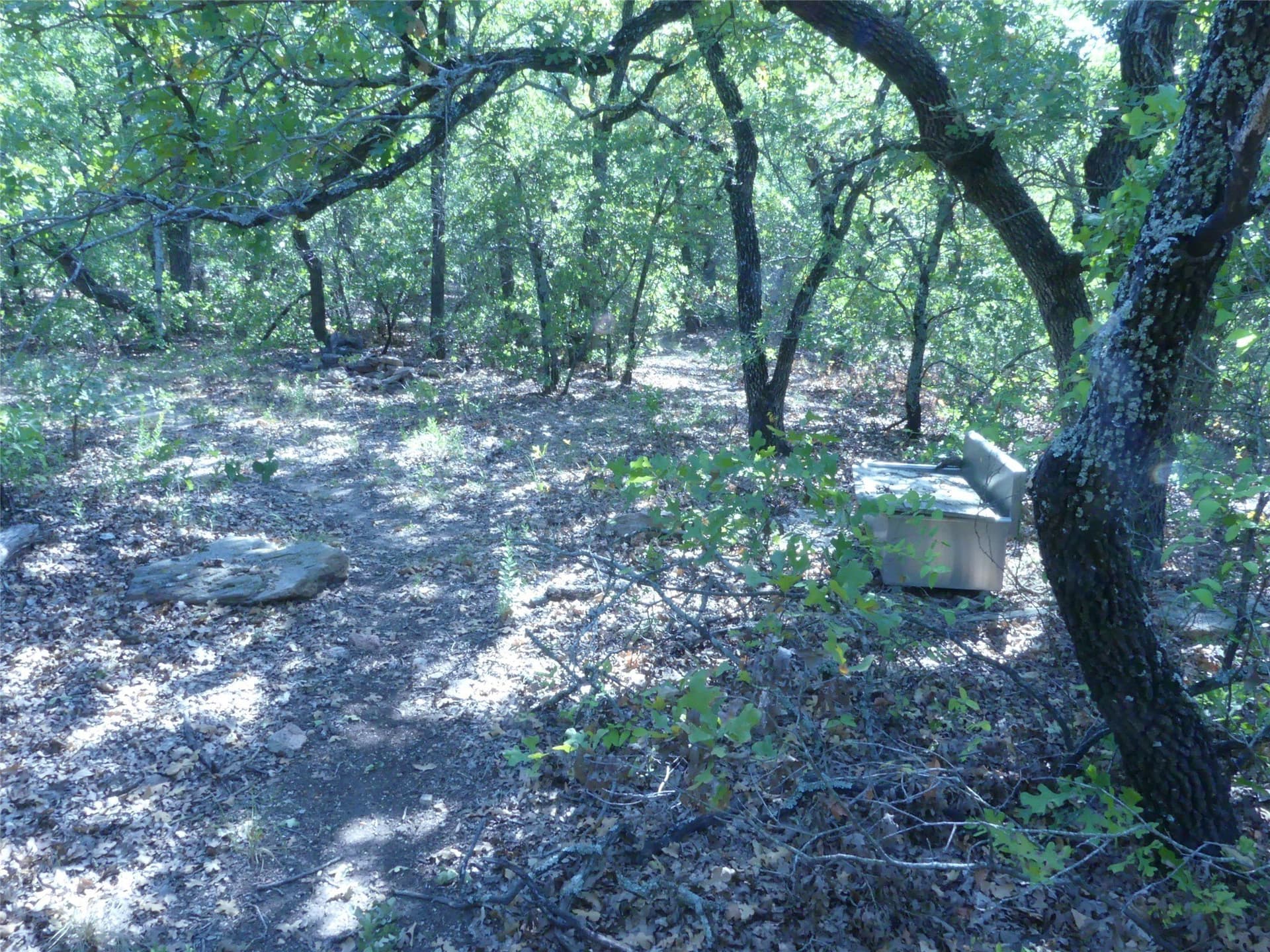 11.85 acres in Montague County - photo 30