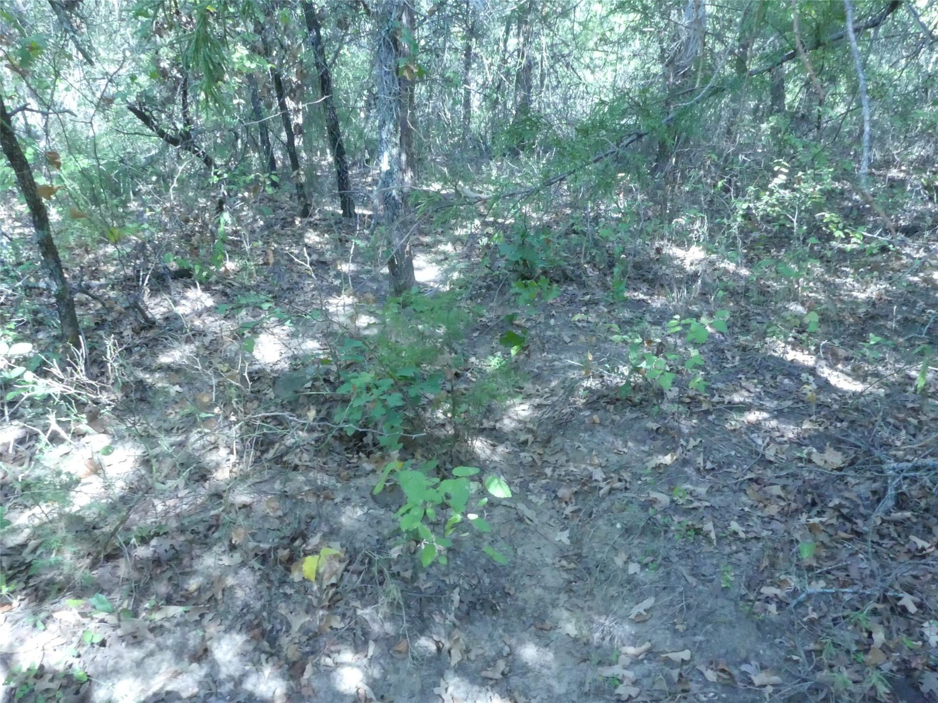 11.85 acres in Montague County - photo 20