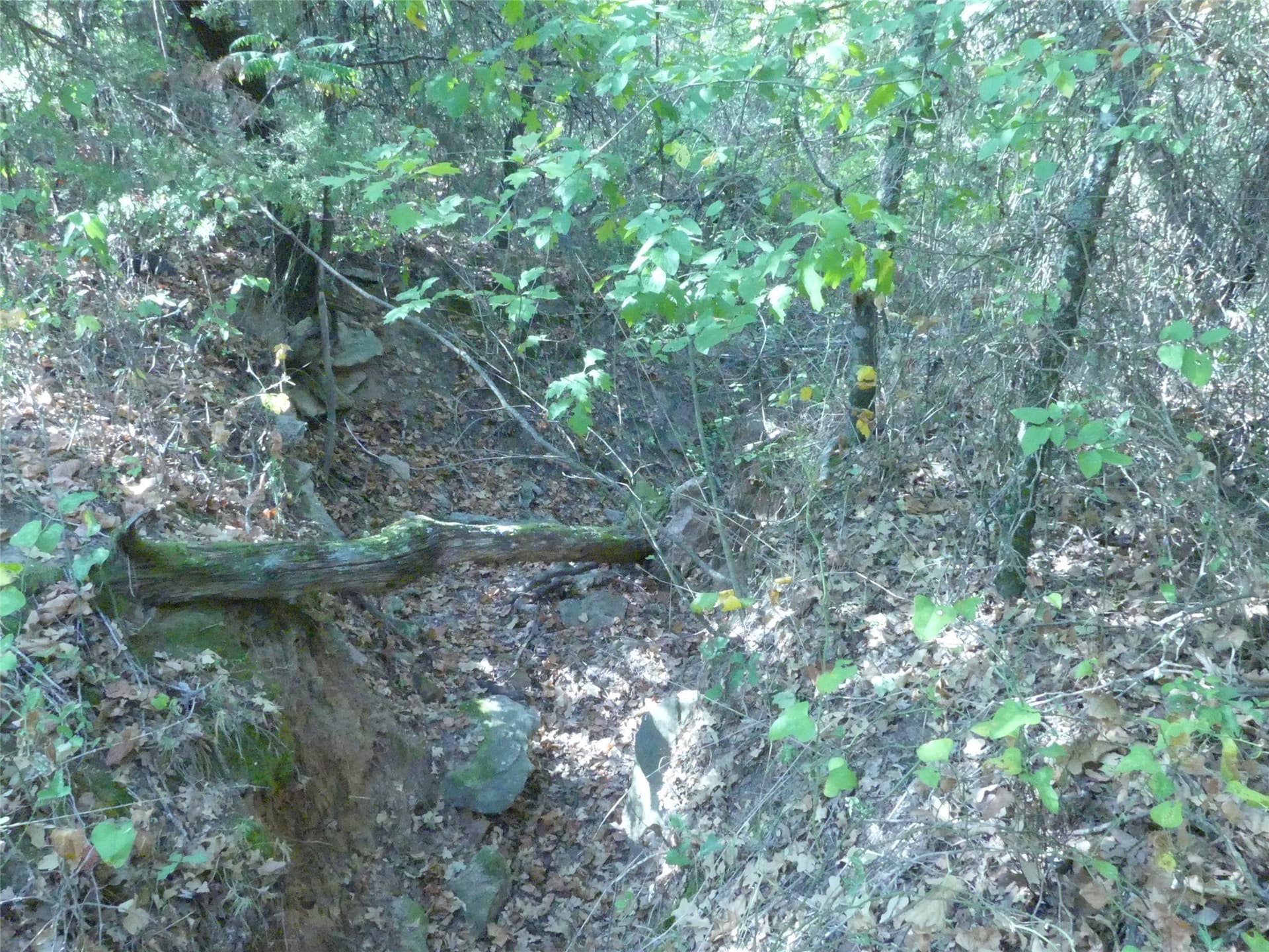11.85 acres in Montague County - photo 24