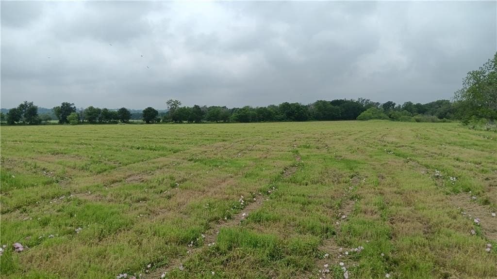 10 acres in Falls County gallery image 3