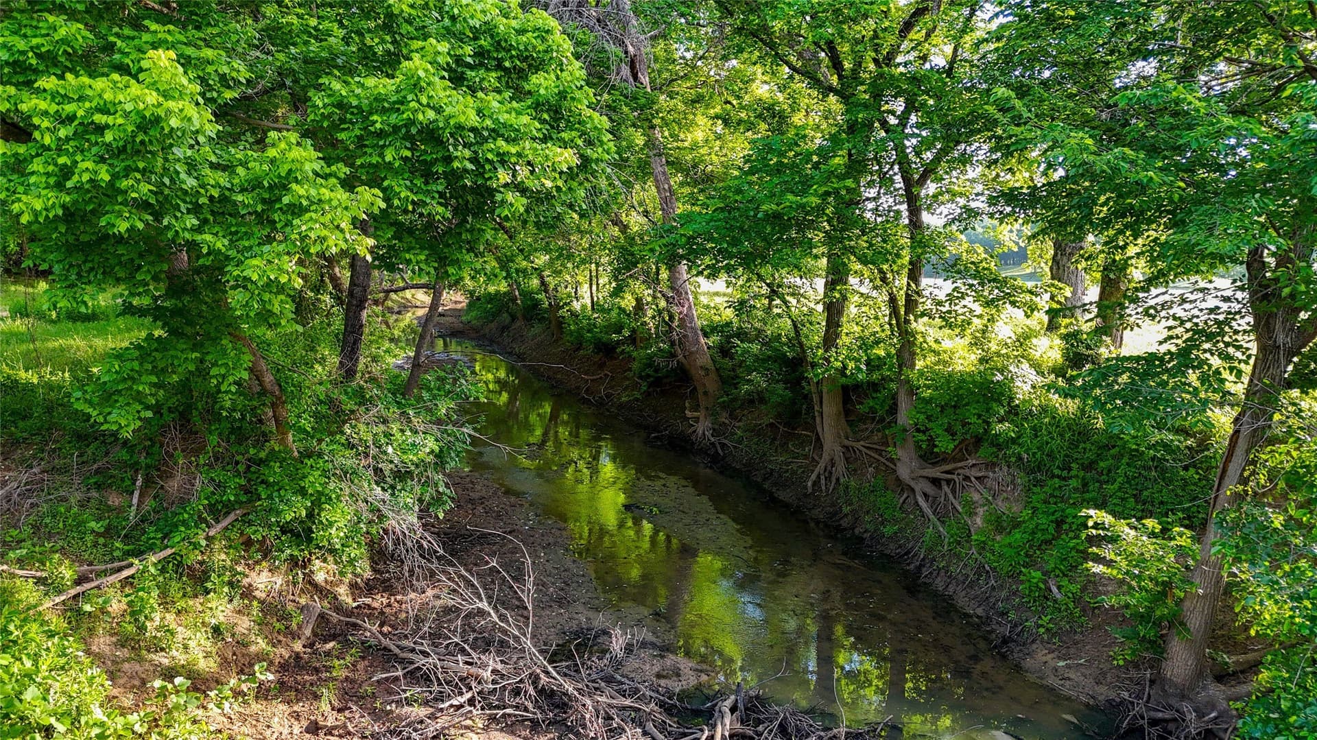 276.87 acres in Wise County - photo 31
